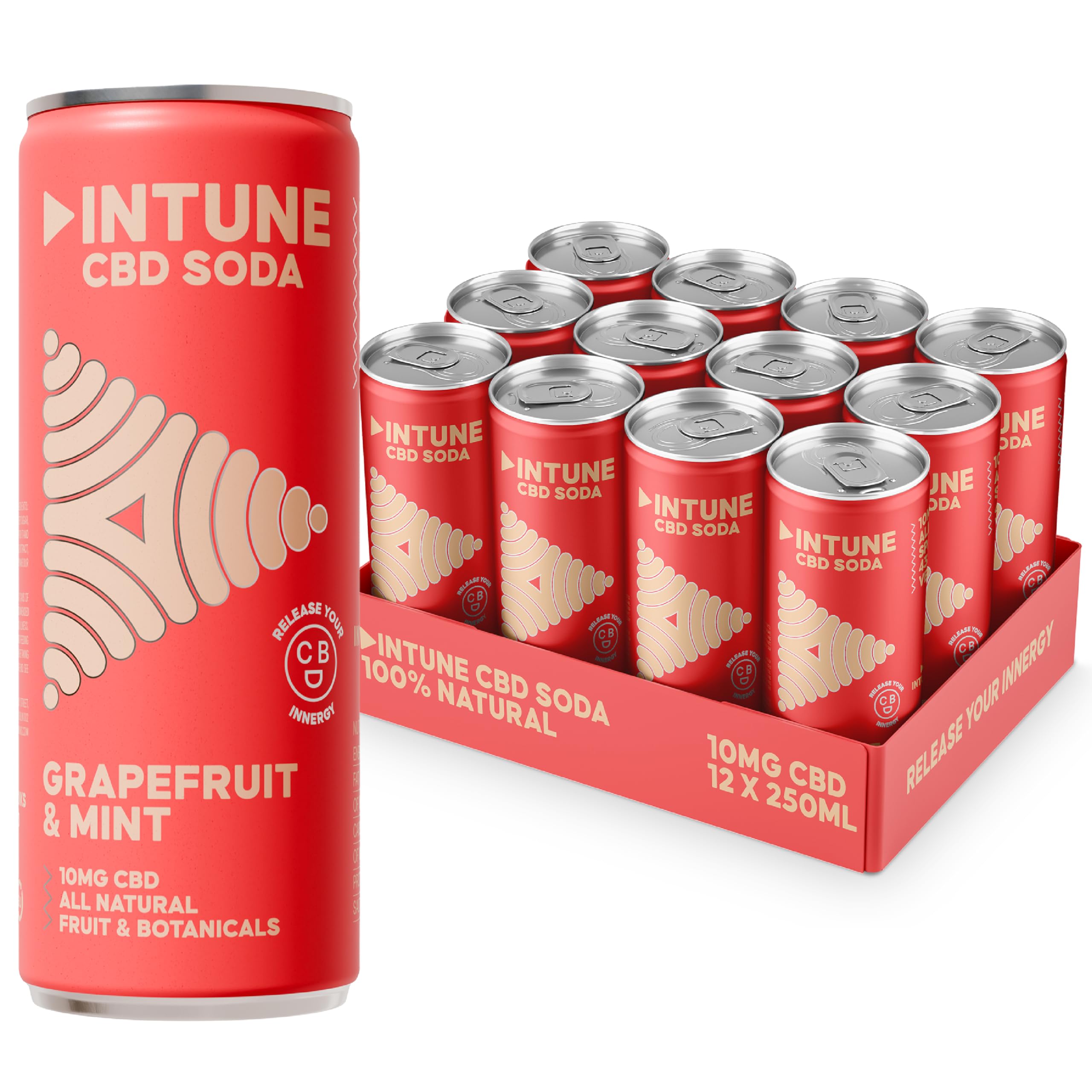 INTUNE Grapefruit & Mint Sparkling CBD | Natural & Vegan | Low Calorie Soft Drink | 12 x 250ml Cans