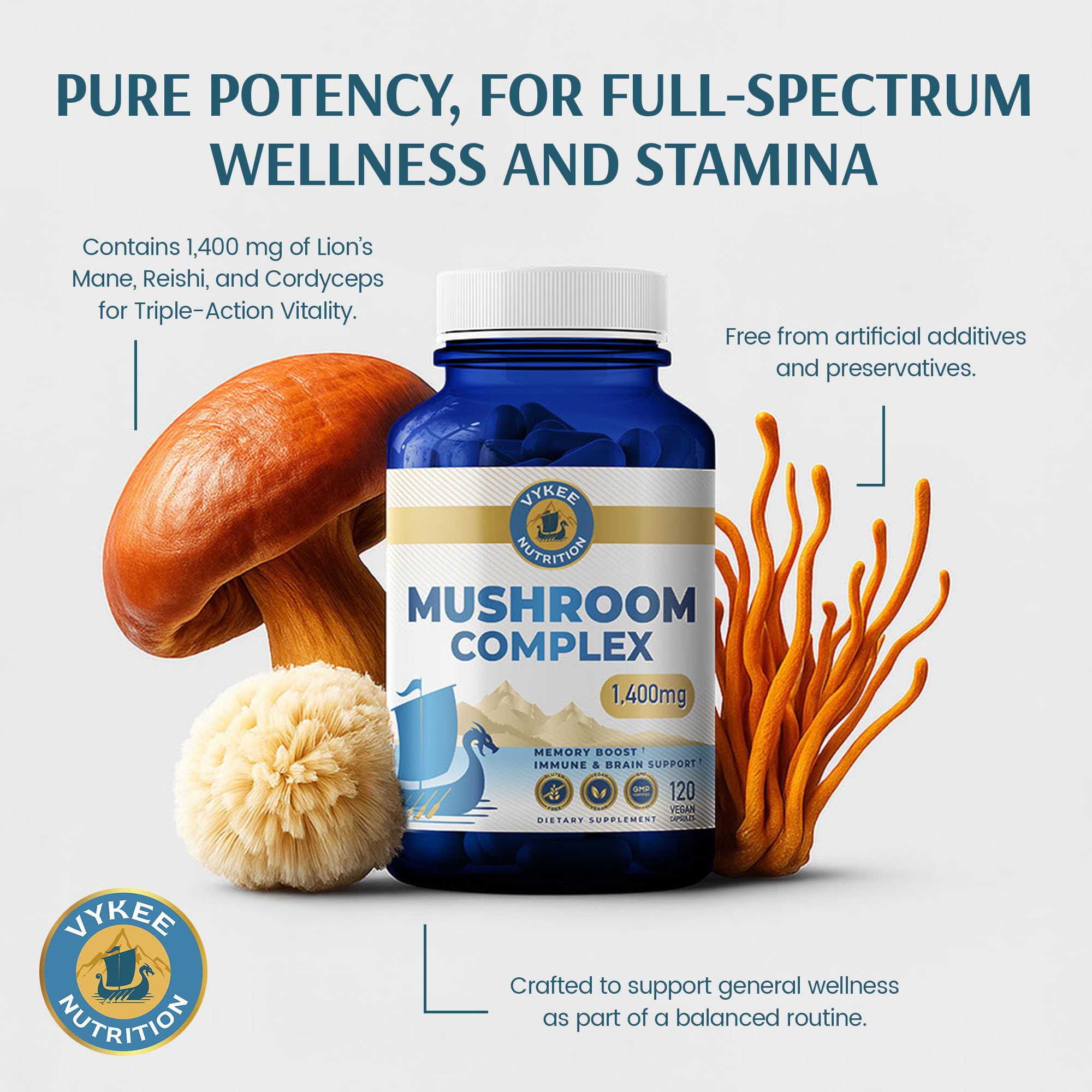 Vykee Nutrition Mushroom Complex Lion's Mane, Reishi & Cordyceps, 1,400 mg — Amazon image 7