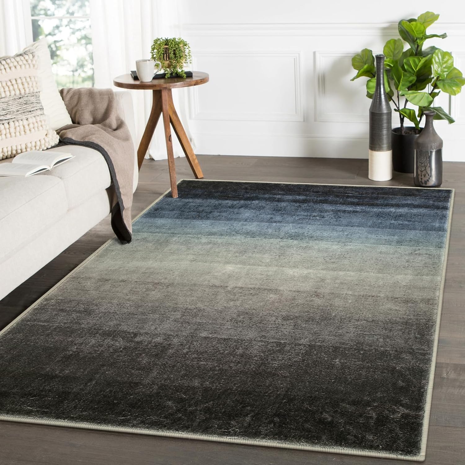 Lahome Washable Living Room Rugs, Modern 4x6 Rug for