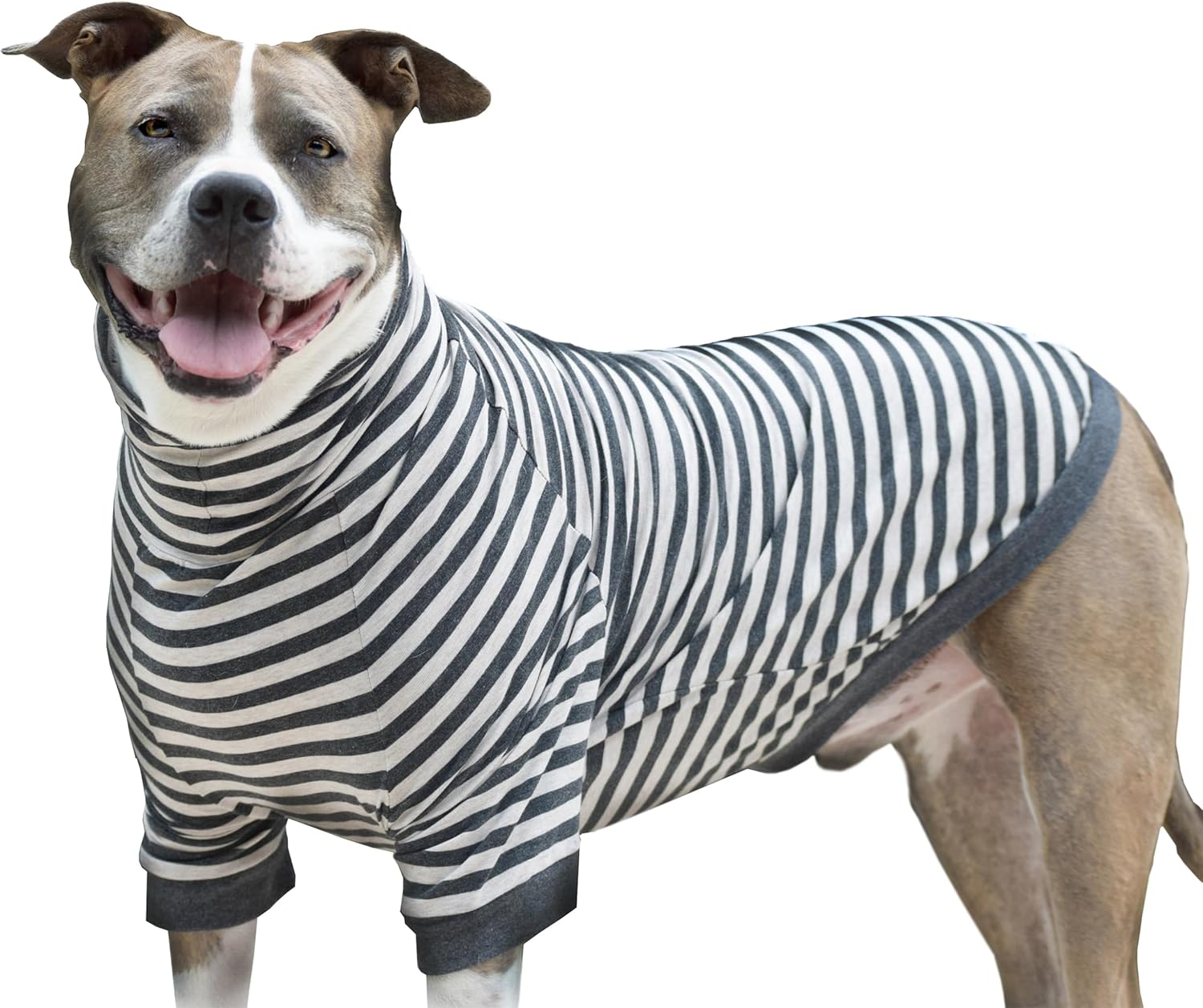 Tooth & Honey Striped Dog Shirt – XL
