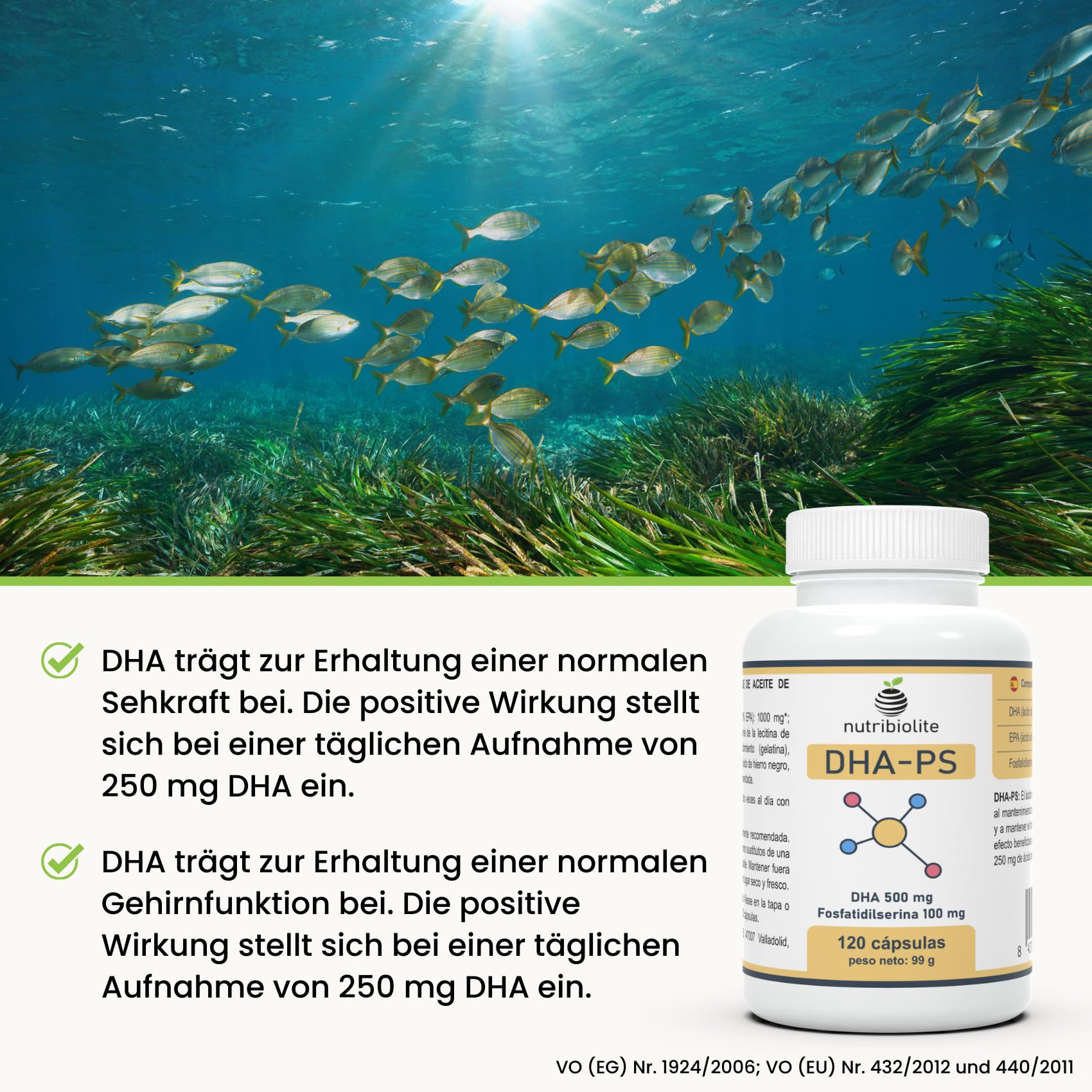 500 mg DHA Omega-3 (Triglyceride) + 100 mg Phosphatidylserin, ohne Soja – für Gehirnfunktion & Sehkraft – 120 Mini-Softgels – DHA-PS Nutribiolite
