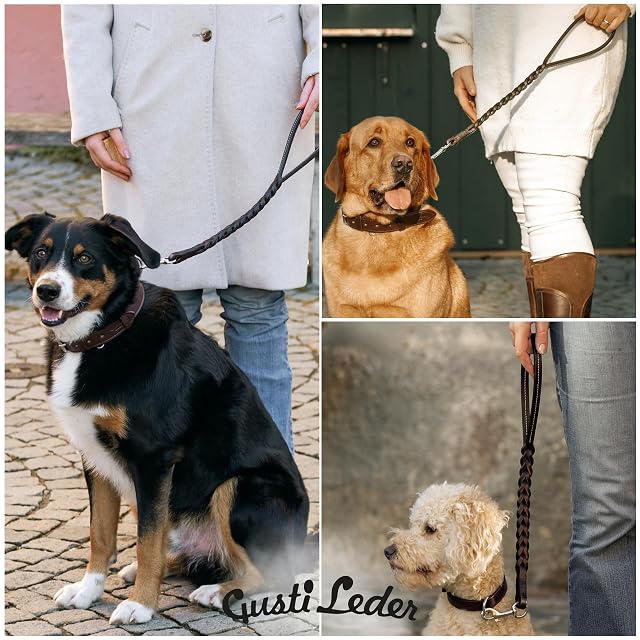 Foto 4 de 8 de Gusti Hartwin - Correa de piel corta para perros (piel), color marrón