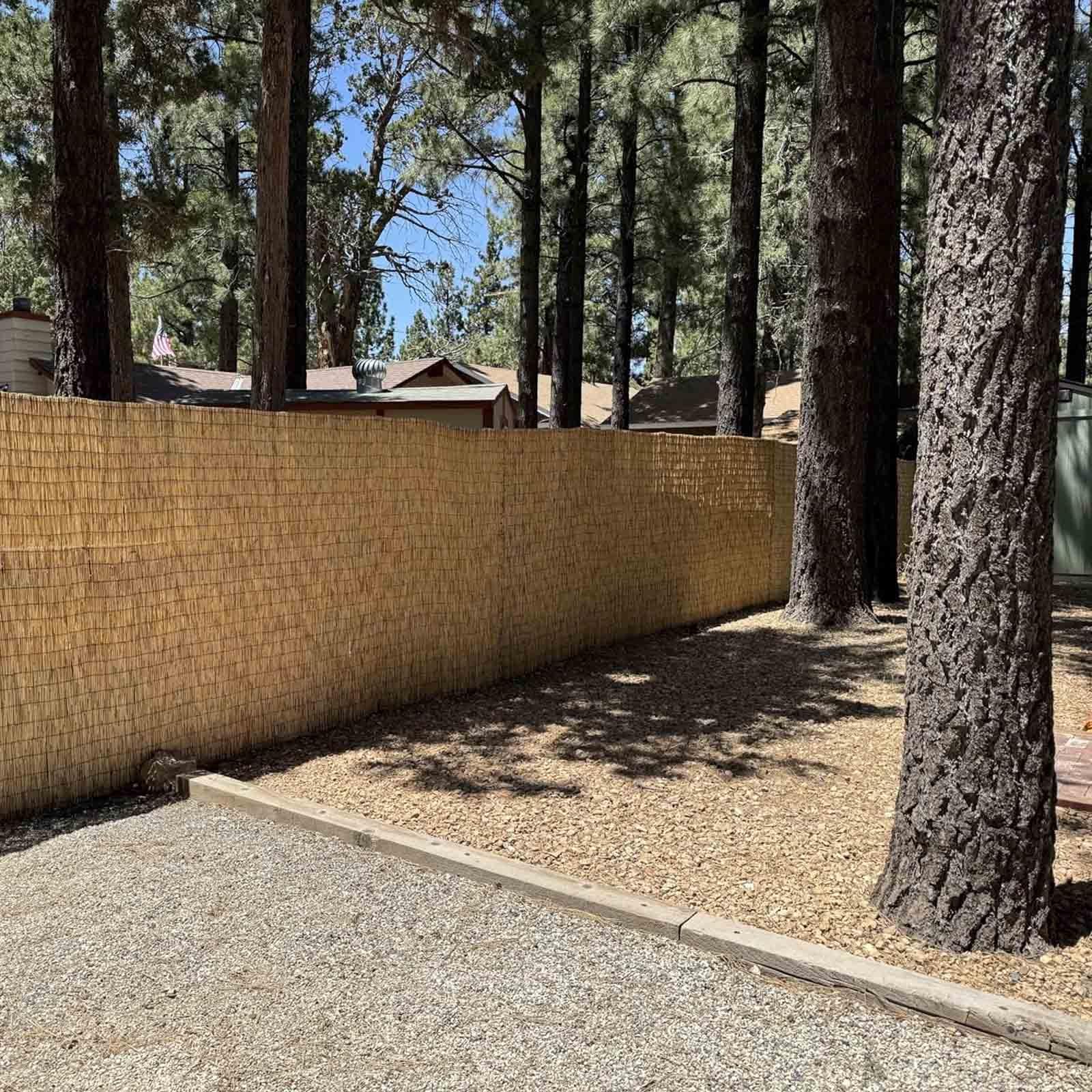Canne Di Bambu per Esterno Canniccio 50cm 60cm 90cm 100cm 130cm 150cm 160cm Altezza,Recinzione Canne Naturali,Robusti & Impermeabili Pannello Protezione Privacy Facile Installare(Natural,160x500cm)