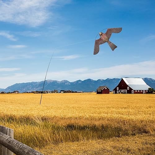Miniatura 5 de Bird Hawk Flying Kite con poste Cultivos Granja Protector de Aves Scarer Flying Sólo 4M Poste sin cometa