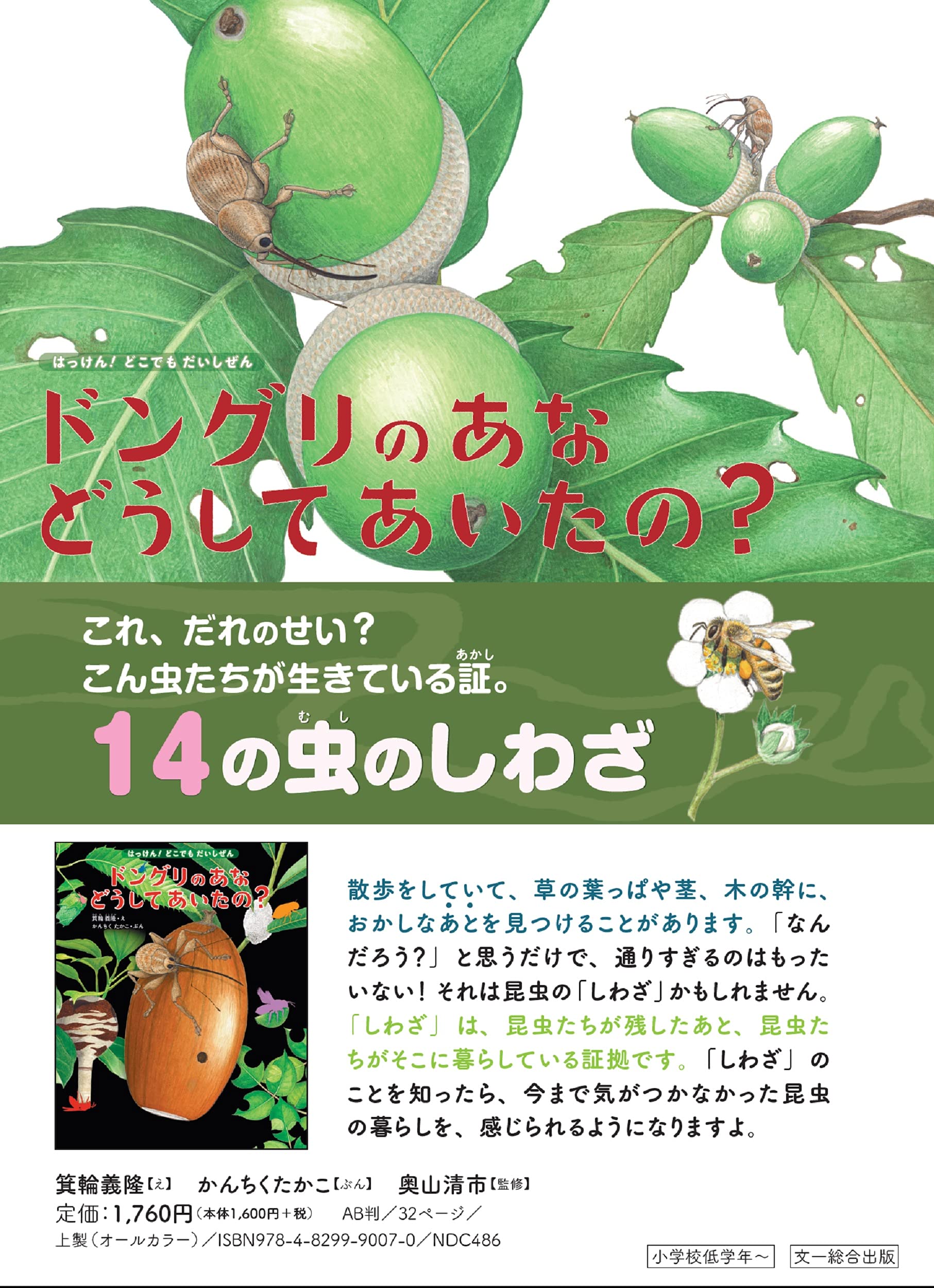 ドングリのあな どうしてあいたの これ だれのせい 虫のしわざ14 はっけん どこでも だいしぜん2 かんちく たかこ 奥山 清市 箕輪 義隆 本 通販 Amazon