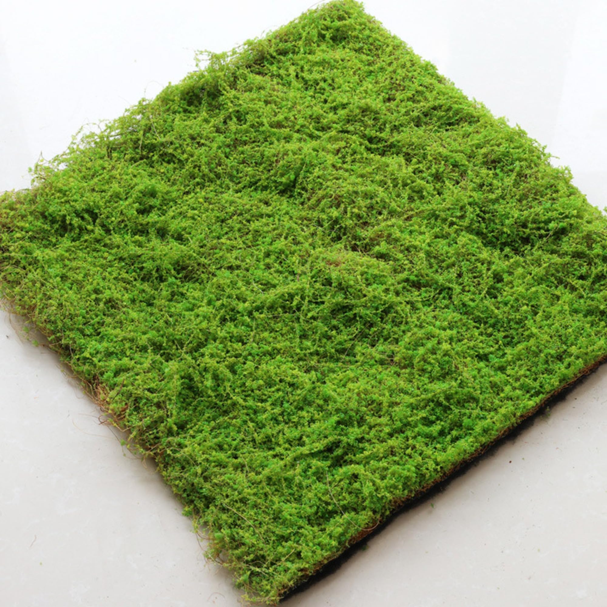 Kunst Moos Deko, Moosmatte, PE-Filamentgarn Moos zum Basteln für Frühlingsdeko, Moosbilder, Floristik, Terrarium Dekoration (100x200 cm)
