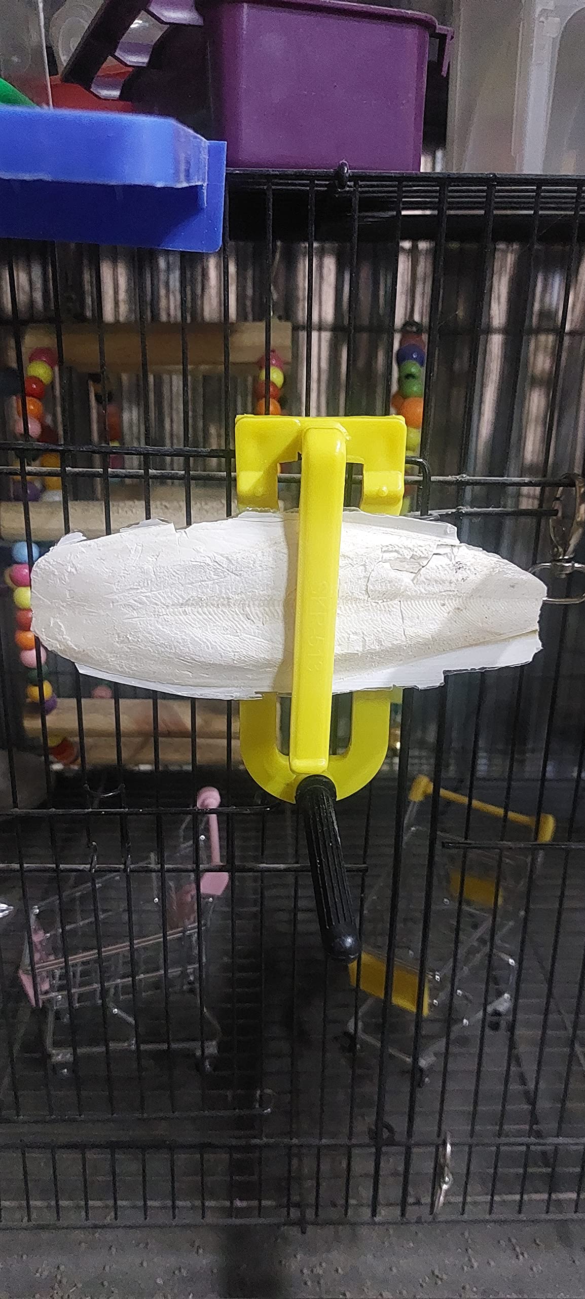 The Pets Guide Cuttlefish Bone,High Natural Calcium for Cockatiels Finches Budgies Lovebirds,African,Macaws,Conures,Parrots,(1kg) Cuttlefish Bone, Kanava Naaku for Birds (Kanava Fish) (B0BYXS71WW) Amazon Price History, Amazon Price Tracker