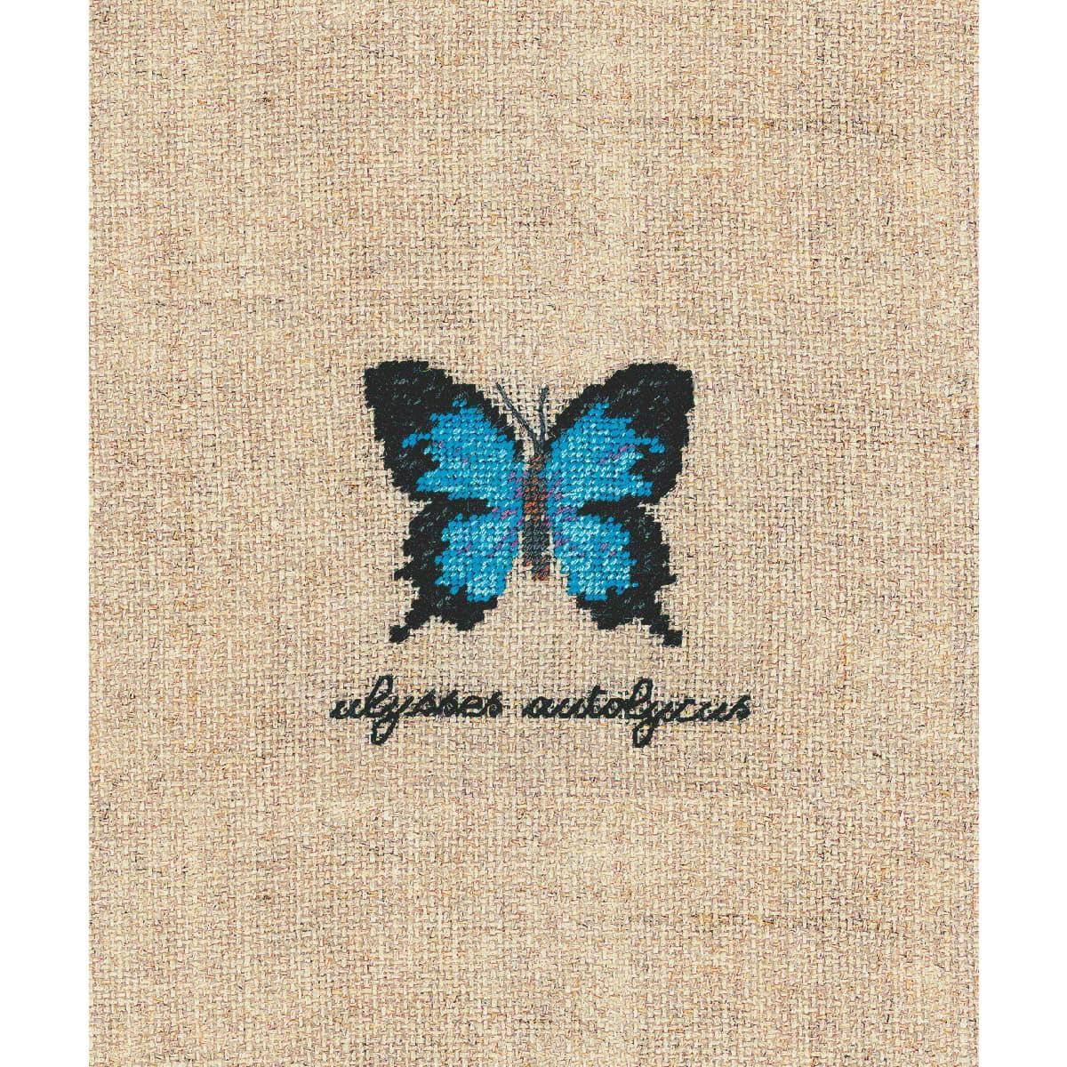 Le Bonheur des Dames Petit Point Embroidery Kit