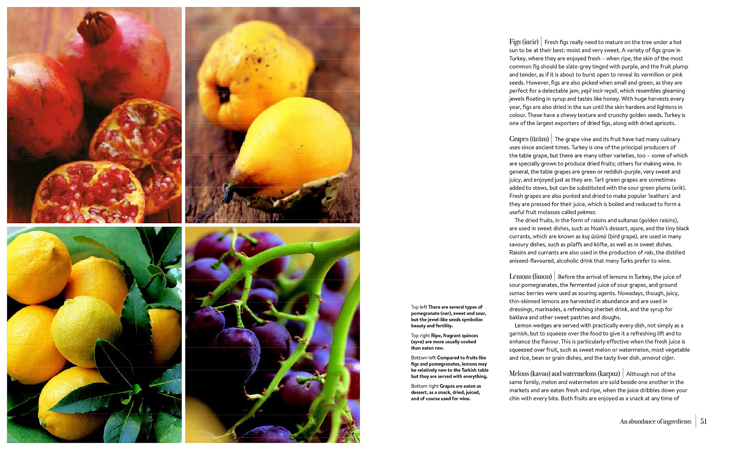 Turkish Cookbook: Exploring the Food of a Timeless Cuisine