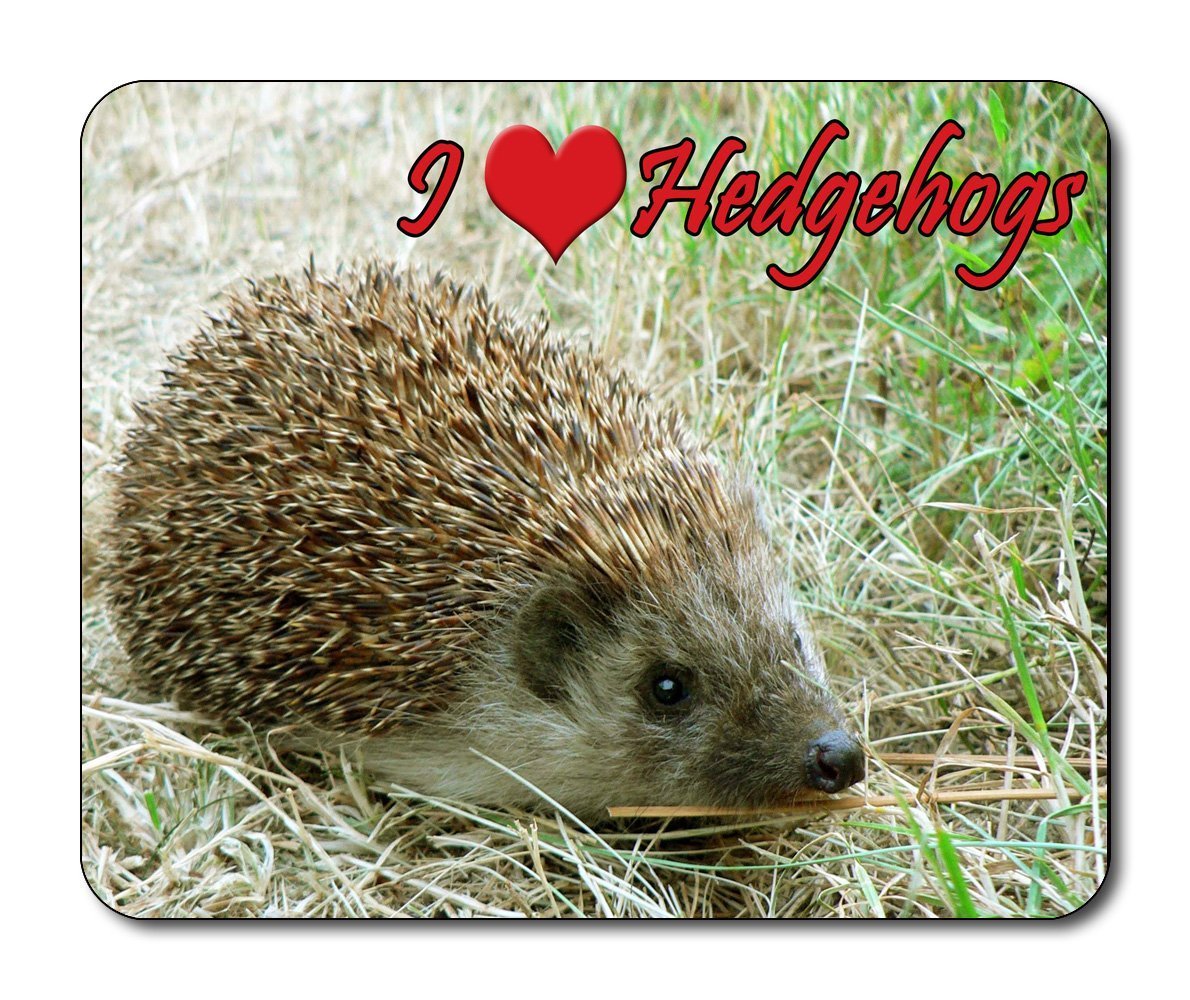 Hedgehog Mouse Mat, Wildlife, I Love Hedgehogs