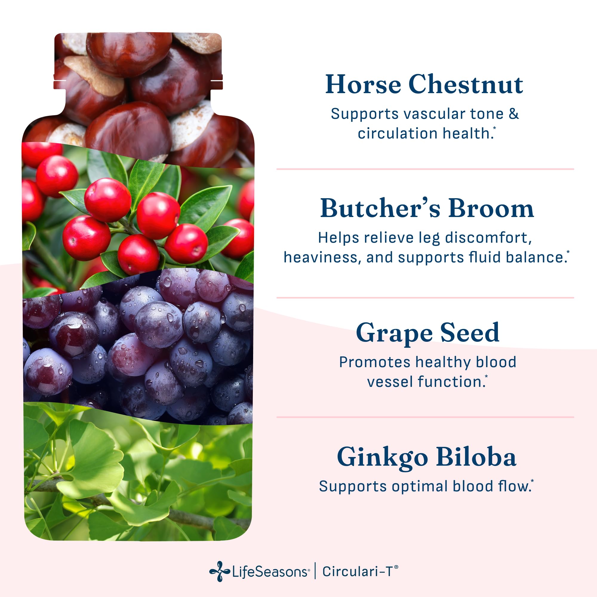 LifeSeasons Circulari-T - Blood Circulation Supplement - Supports Artery, Capillary & Vein Health - Butcher’s Broom, Ginkgo, Cayenne, Grape Seed & Horse Chestnut - 90 Capsules — Amazon image 4