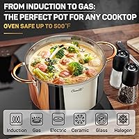 Vista 5 de Olla de stock de 12 cuartos, olla de acero inoxidable 18/10 de tres capas con tapa, olla de cocina sin costuras de 12 QT con asa de cobre, ollas