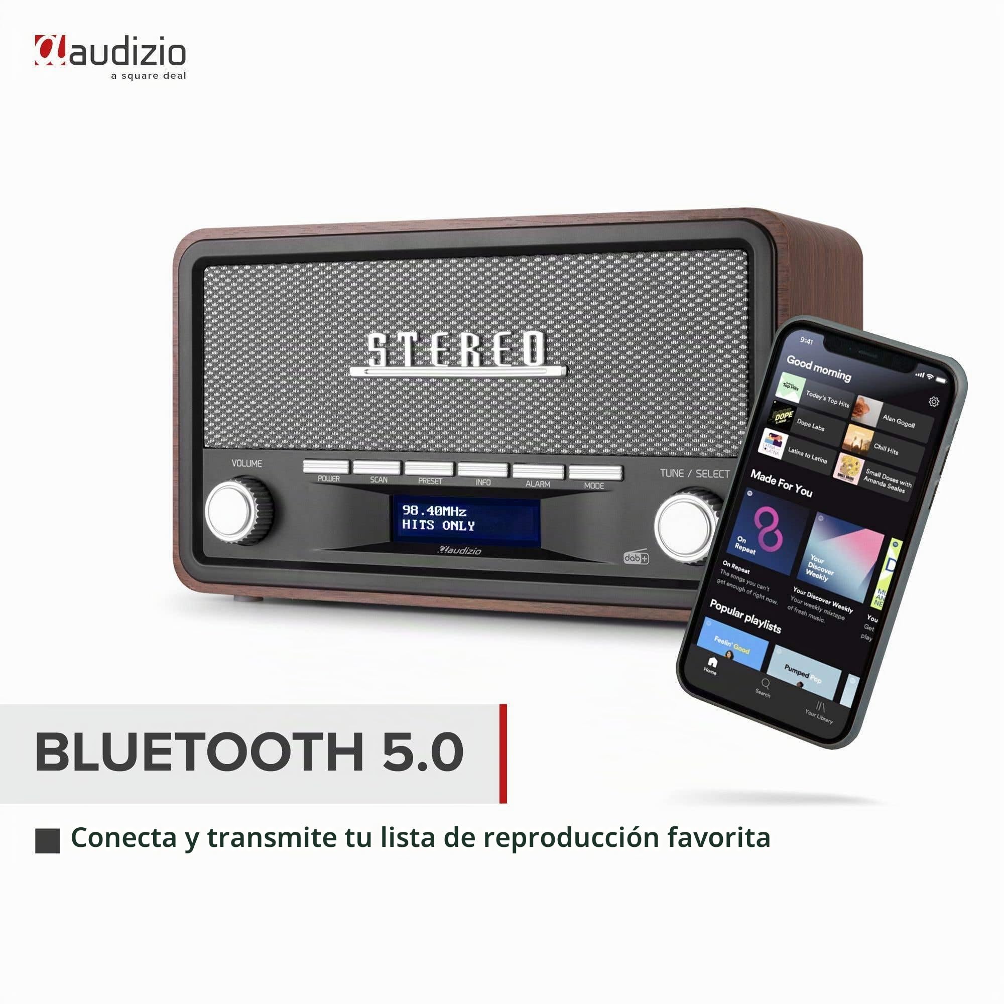 Audizio Foggia - Radio Dab+/FM Bluetooth Acabado Gris AUX Alarma Retro