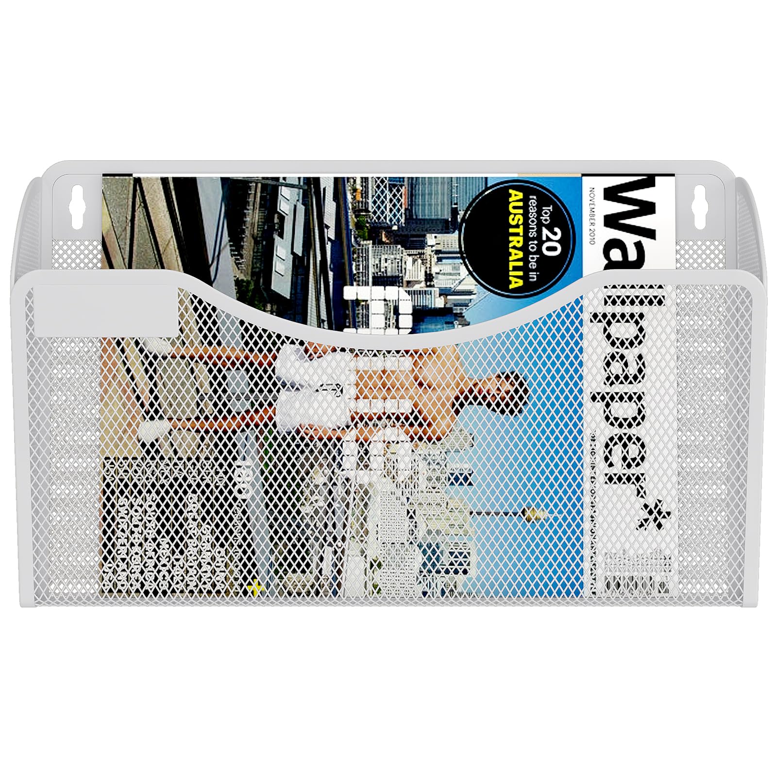EasyPAG 1 Pochette Paysage Métal Porte Revue Mural Porte Document Suspendu A4 Organisateur de Bureau à Suspendre Banette de Rangement Corbeille a Courrier Murale avec Plaque d'étiquettes,Blanc