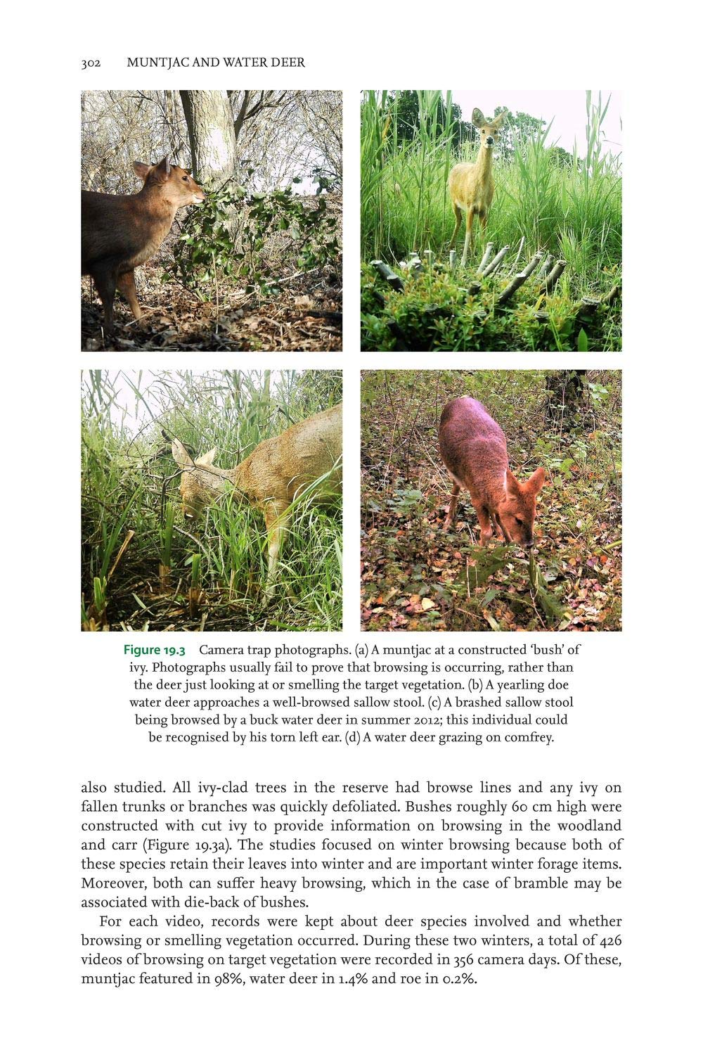Muntjac and Water Deer: Natural History, Environmental Impact and Management (Pelagic Monographs)