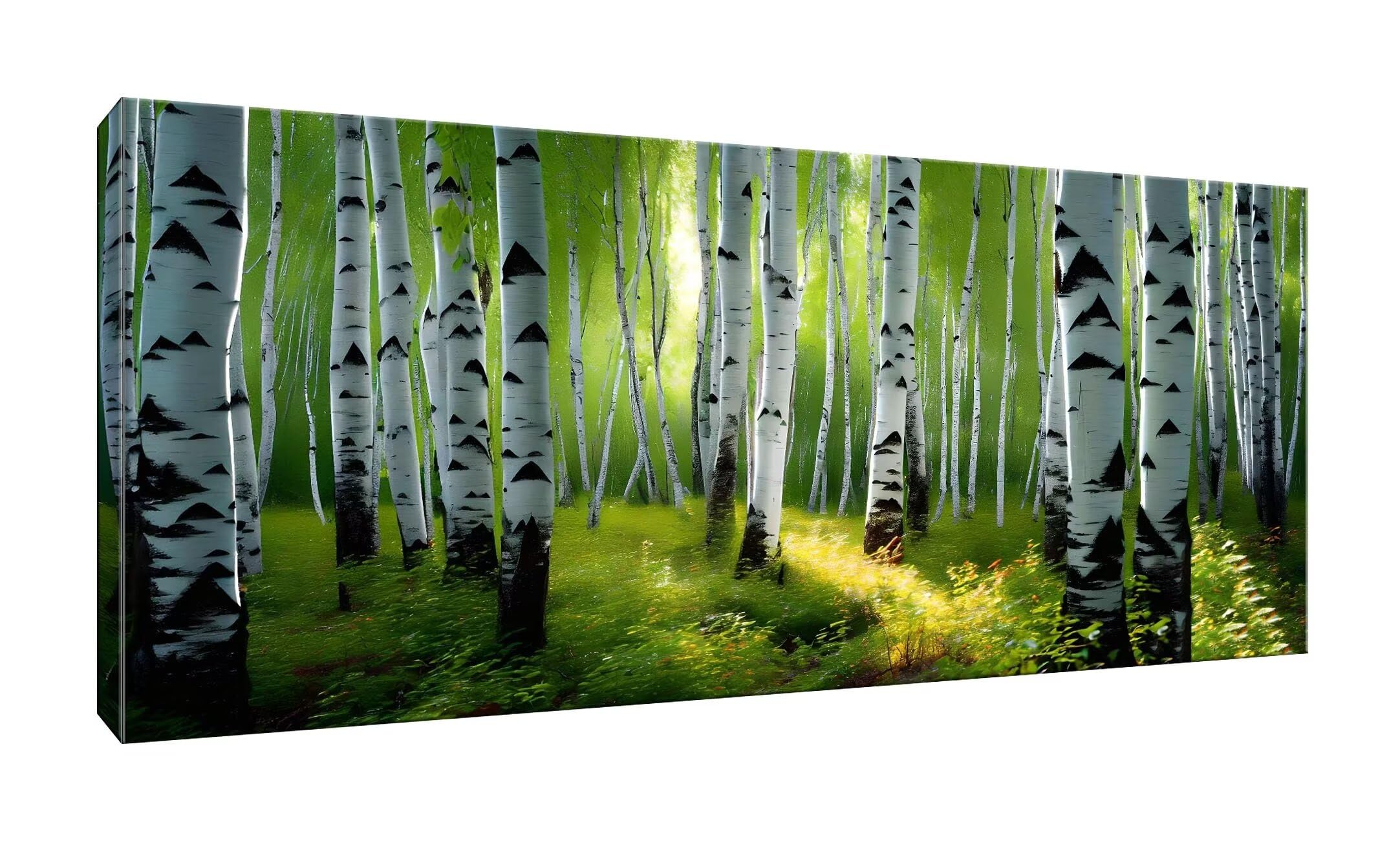 5D DIY Diamond Painting Kit Completo, betulla argentata Diamantini Strass Ricamo a Punto per Adulti Bambini Decorazione Casa, Kit per Pittura Diamante Mosaico Fai Da Te, per Decor Casa 50x100cm S-12
