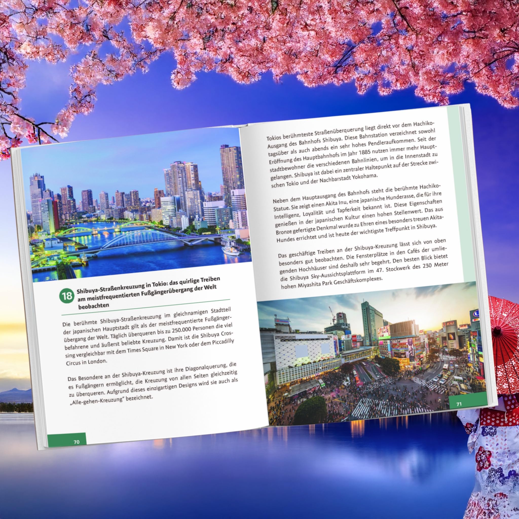 Japan für Anfänger – Von der Planung bis zur Heimkehr: Dein Guide zu unvergesslichen Erlebnissen im echten Japan mit Insider-Tipps direkt von einem Einheimischen inkl. cleverer Spartipps
