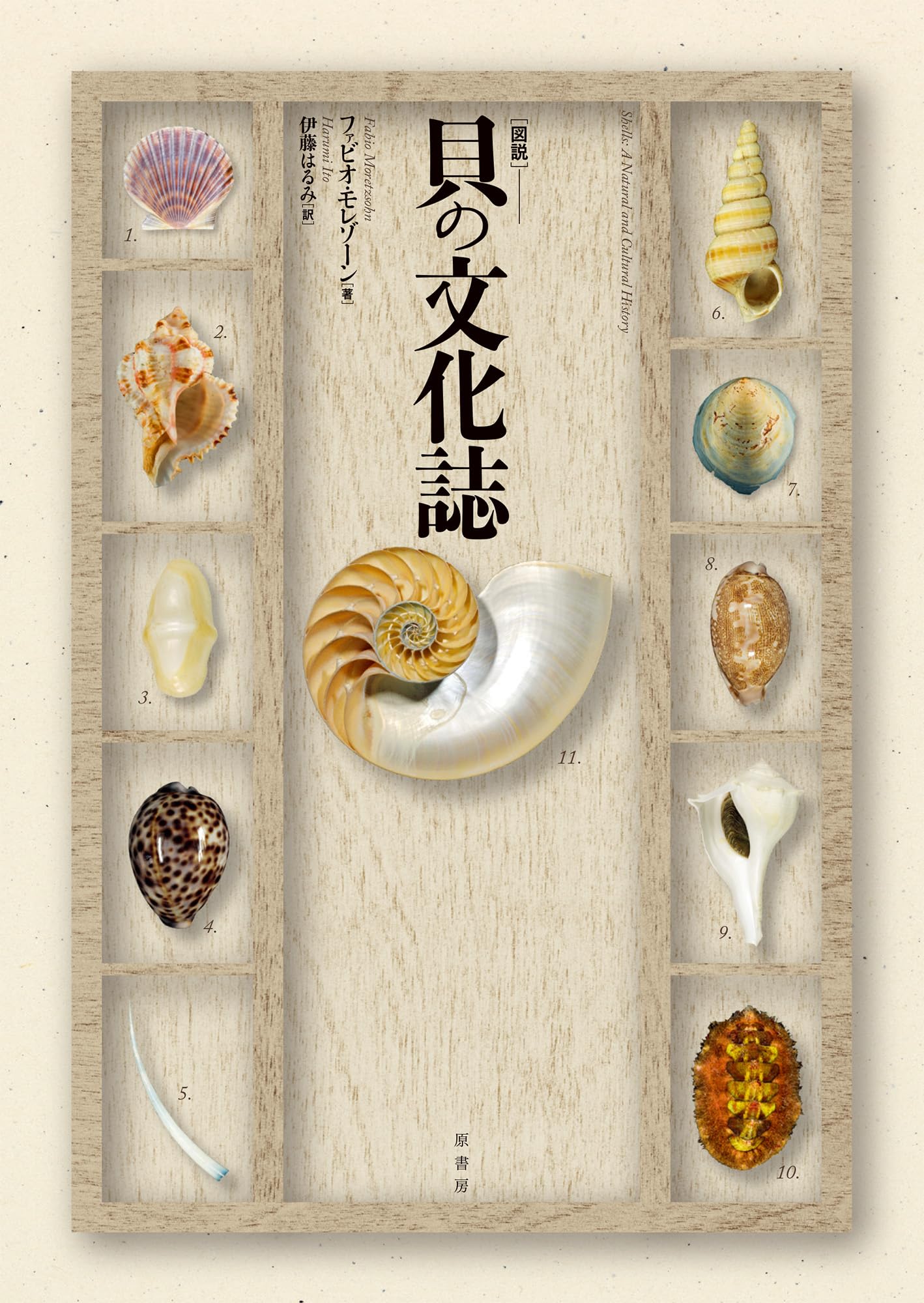 世界の貝大図鑑 形態・生態・分布　　大型本 世界の貝大図鑑 形態・生態・分布 | M.G.ハラセウィッチ