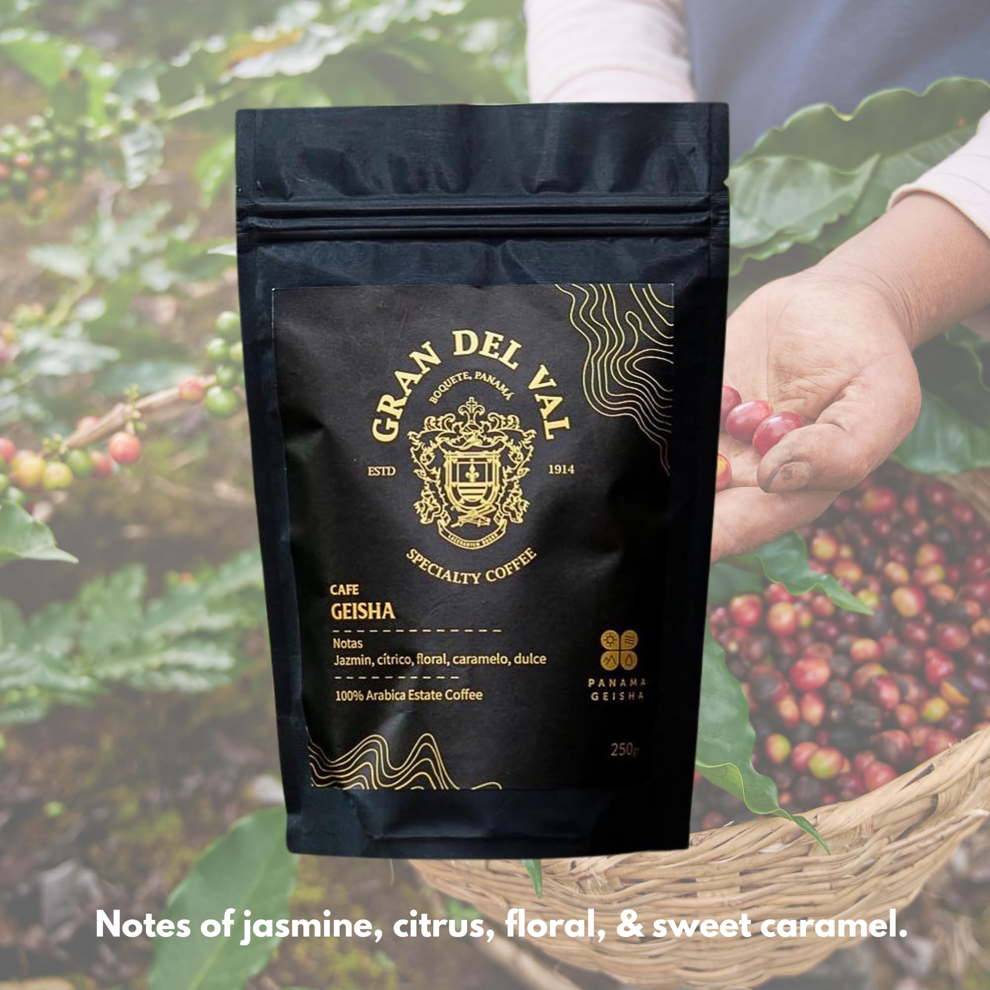 Gran Del Val Honey Process Geisha Coffee 250g thumbnail 4