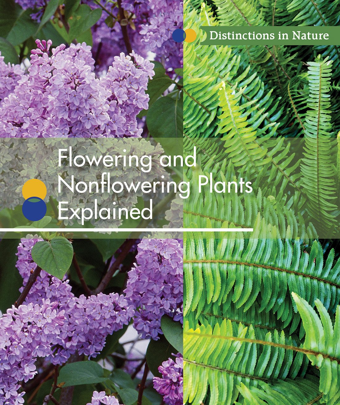 Nonflowering Plants Examples ubicaciondepersonas.cdmx.gob.mx