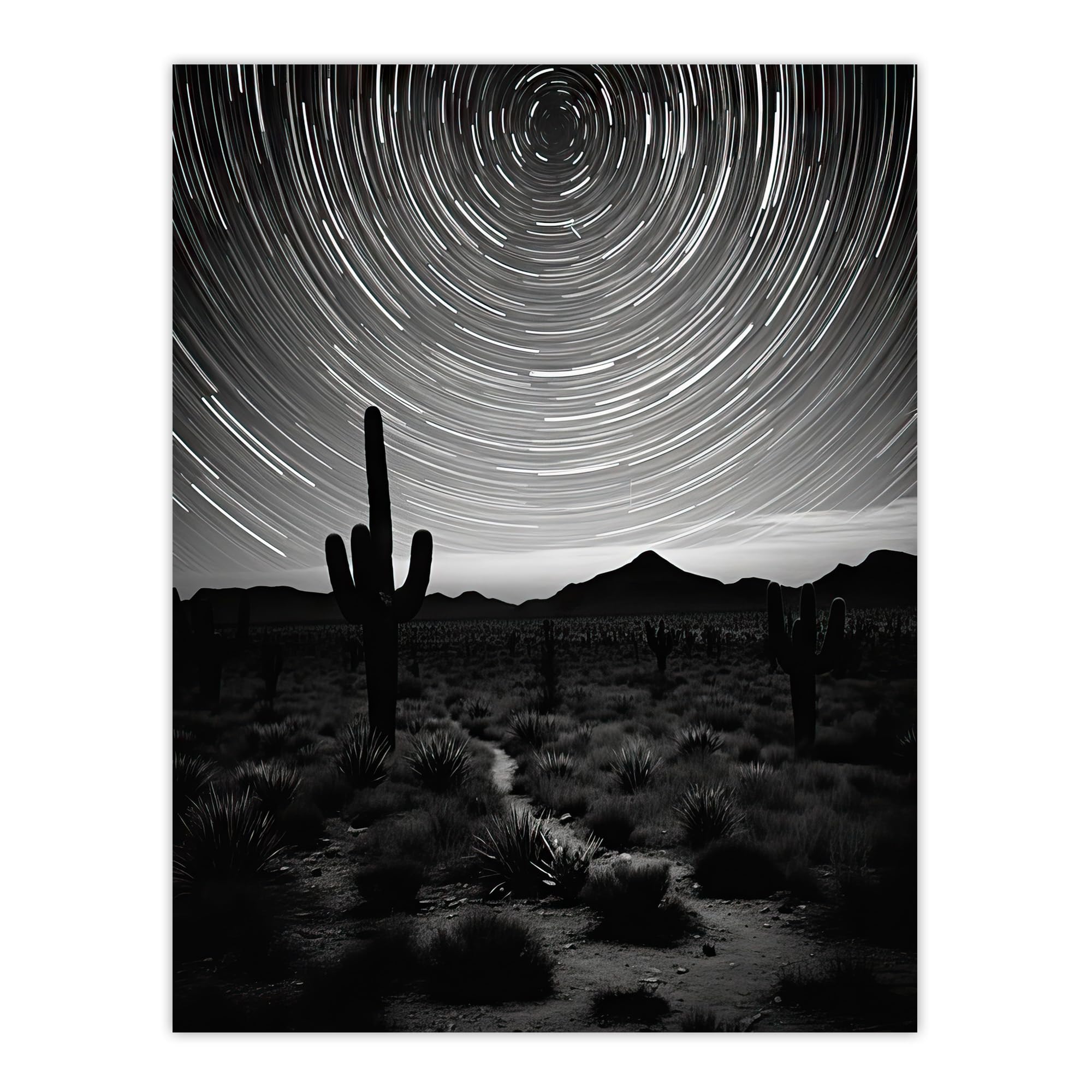 Artery8 Time Lapse Night Sky Star Trails Across The Night Sky Black White Desert Cactus Extra Large XL Wall Art Poster Print