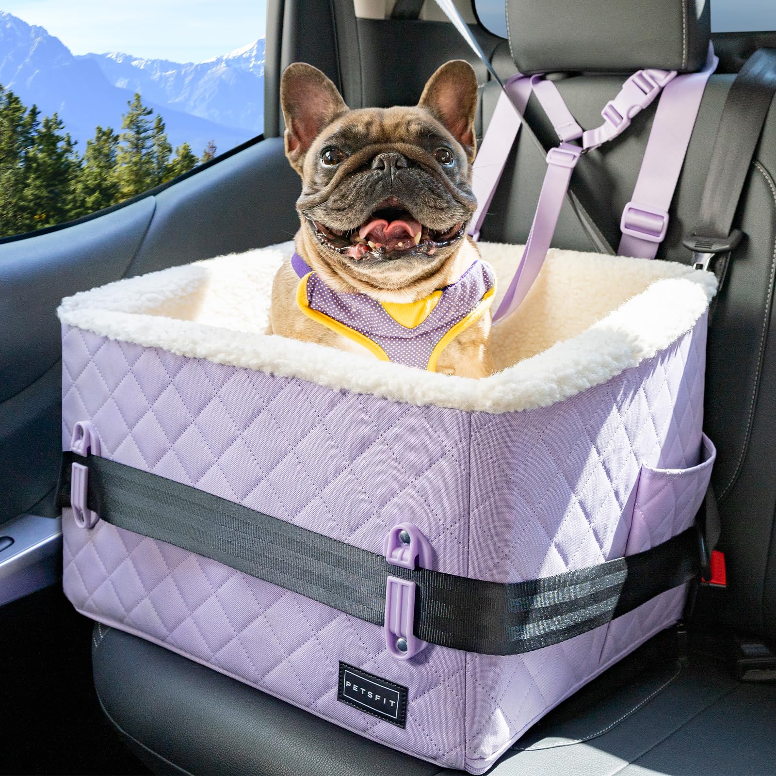 PETSFIT Dog Booster Car Seat, Soft Foam Cat Car Seat with Patented Safety Buckles, Storage Pockets and Detachable Clip-On Safety Leash, Dog Car Seats