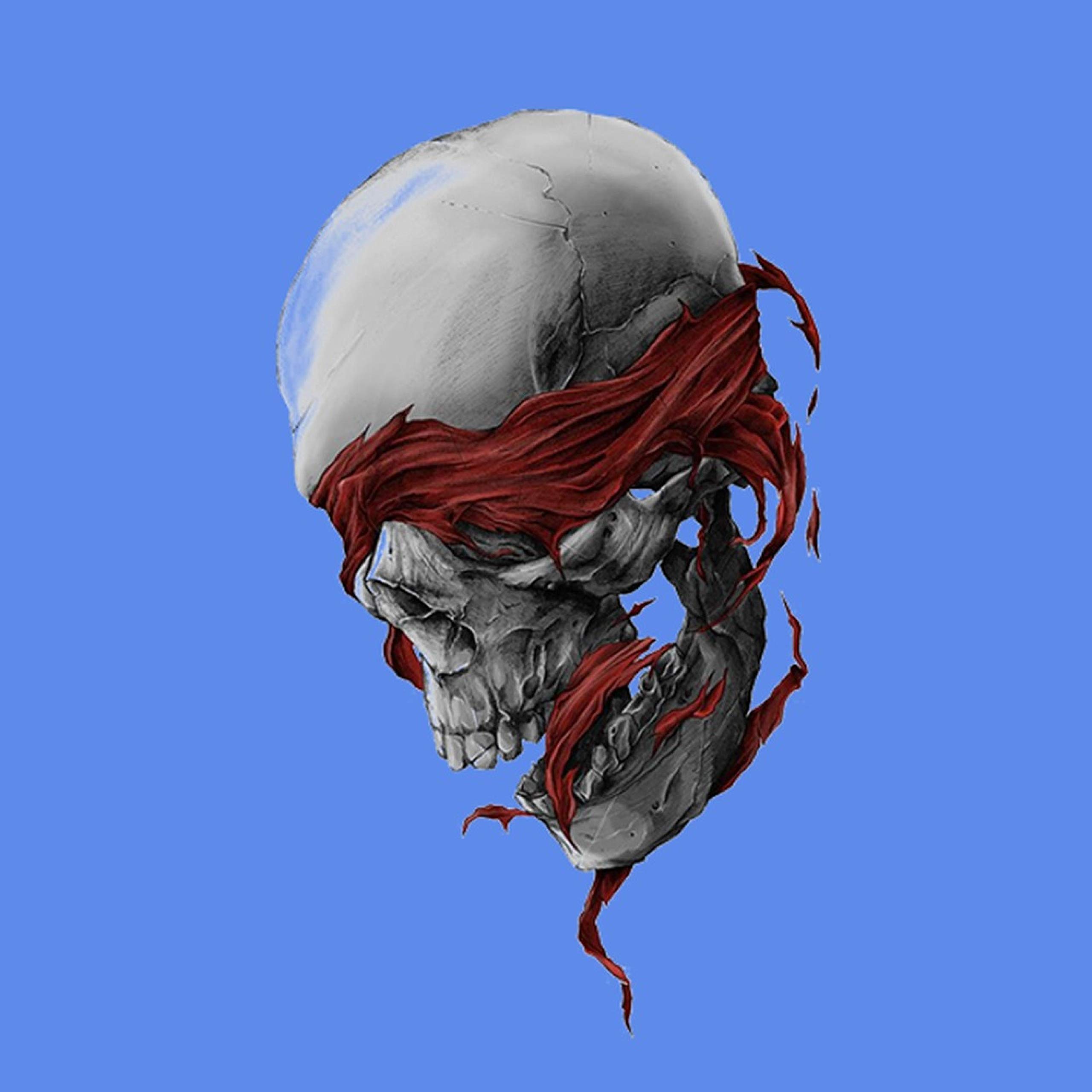 caterpillar boot laces replacements