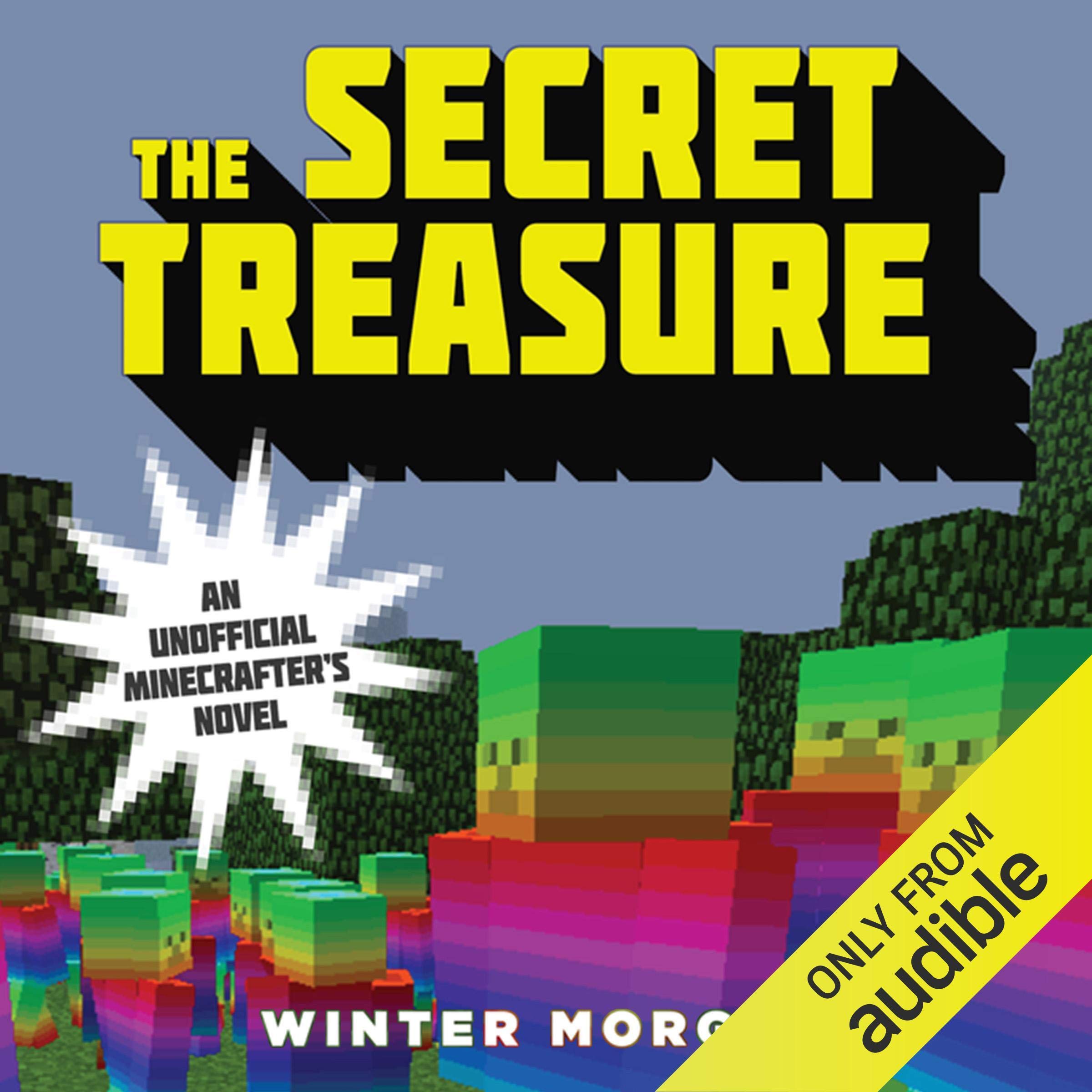 Cover art for The Secret Treasure