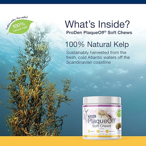 Miniatura 3 de ProDen PlaqueOff Masticables suaves con algas naturales  para gatos de todas las razas  Apoya dientes normales, saludables y olor a aliento en gatos
