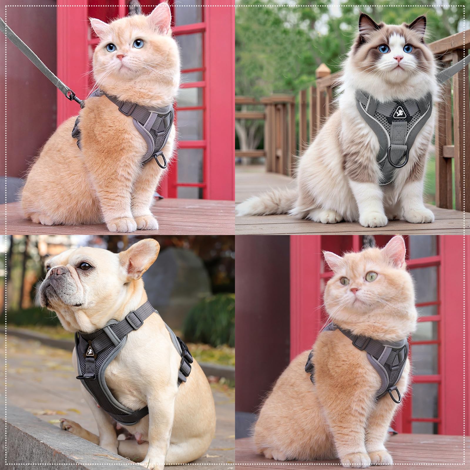 TYXHXTF Pettorina Gatto con Guinzaglio per Gatti Allungabile, Imbracatura per Gatti Antifuga, con Riflettente, Morbido Traspirante Pettorina Gatto, per Cuccioli Passeggiate all'aperto (Grigio)