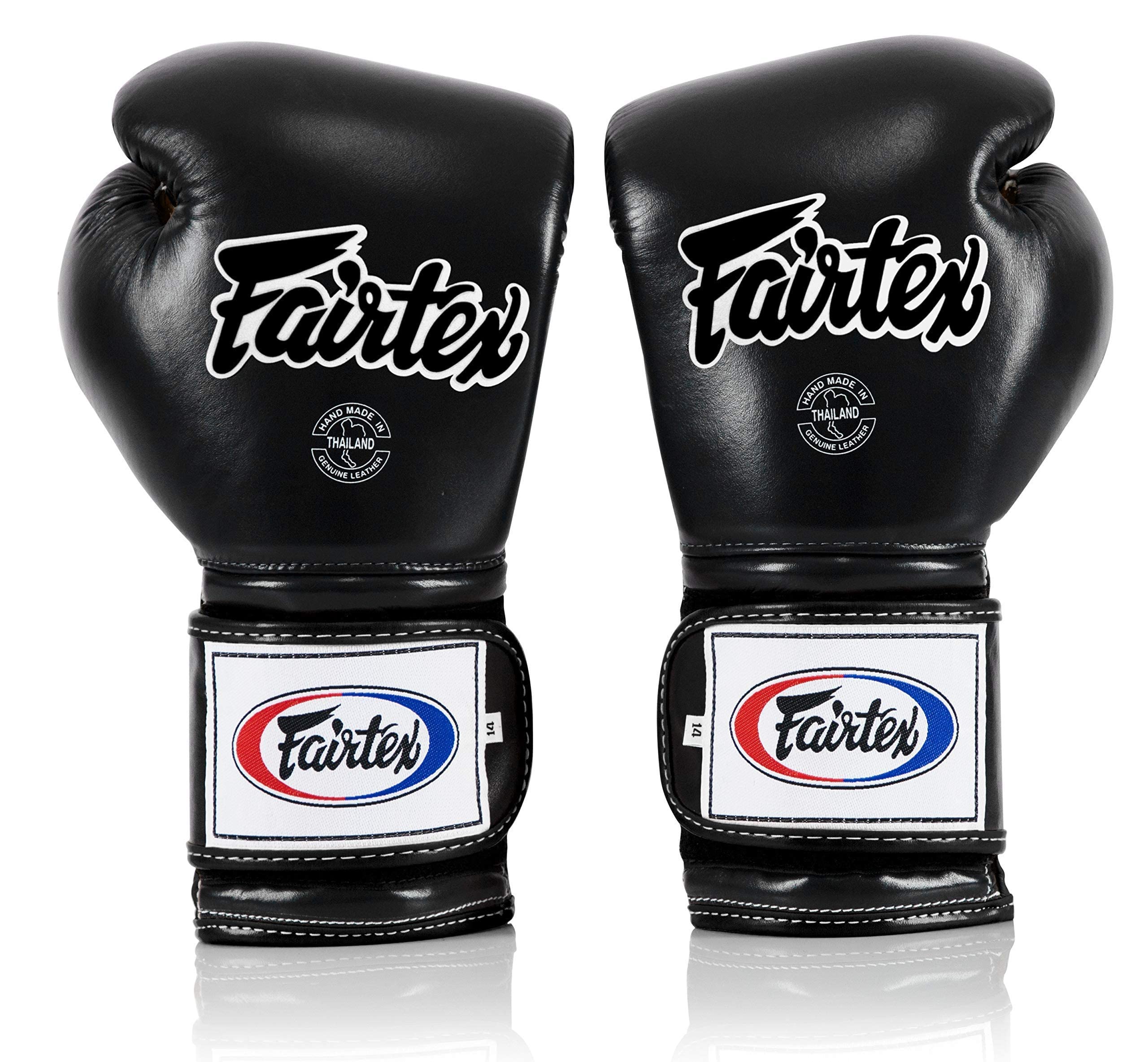 Amazon.com : Fairtex Muay Thai Boxing Gloves BGV9 - Heavy Hitter