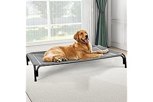 Elevated Dog Bed: Maximum Comfort and Relaxation for Your Canine Companion