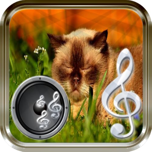 Música para dormir