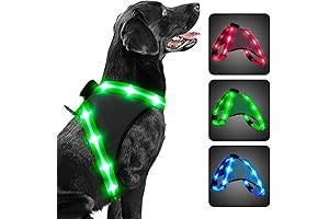 ChalkLit Light Up Dog Harness: Safety and Visibility for Nighttime Adventures