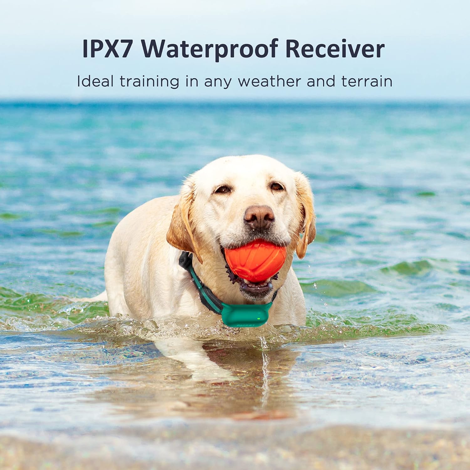 PATPET Shock Collar for Dogs - 4000FT Dog Training Collar with Remote, IPX7 Waterproof 4 Modes (Beep/Vibration/Shock/Safe) Dog Shock Collar, Rechargeable E-Collar for Small Medium Large Dogs (Green)