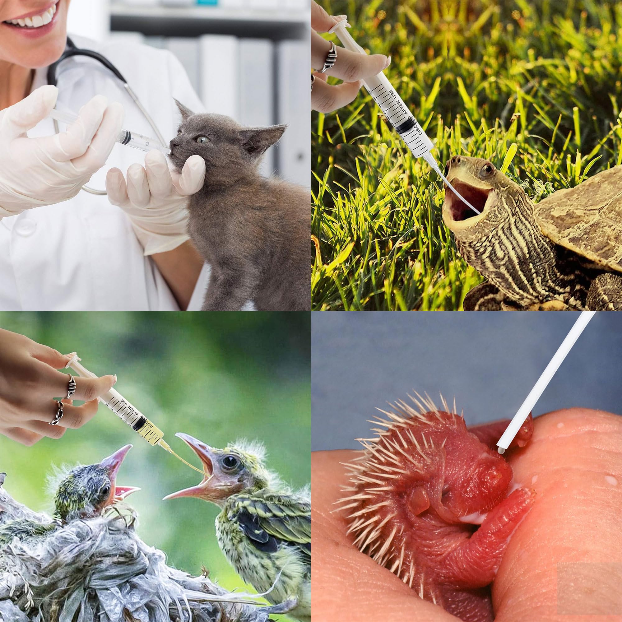 Uccelli Che nutrono siringa Tubo di Alimentazione per Uccelli Giovani siringa da 10 ml Alimentatore Pappagalli Accessori per piccioni siringa con Tubi e cucchiai per Bambino Pet Uccelli (B)
