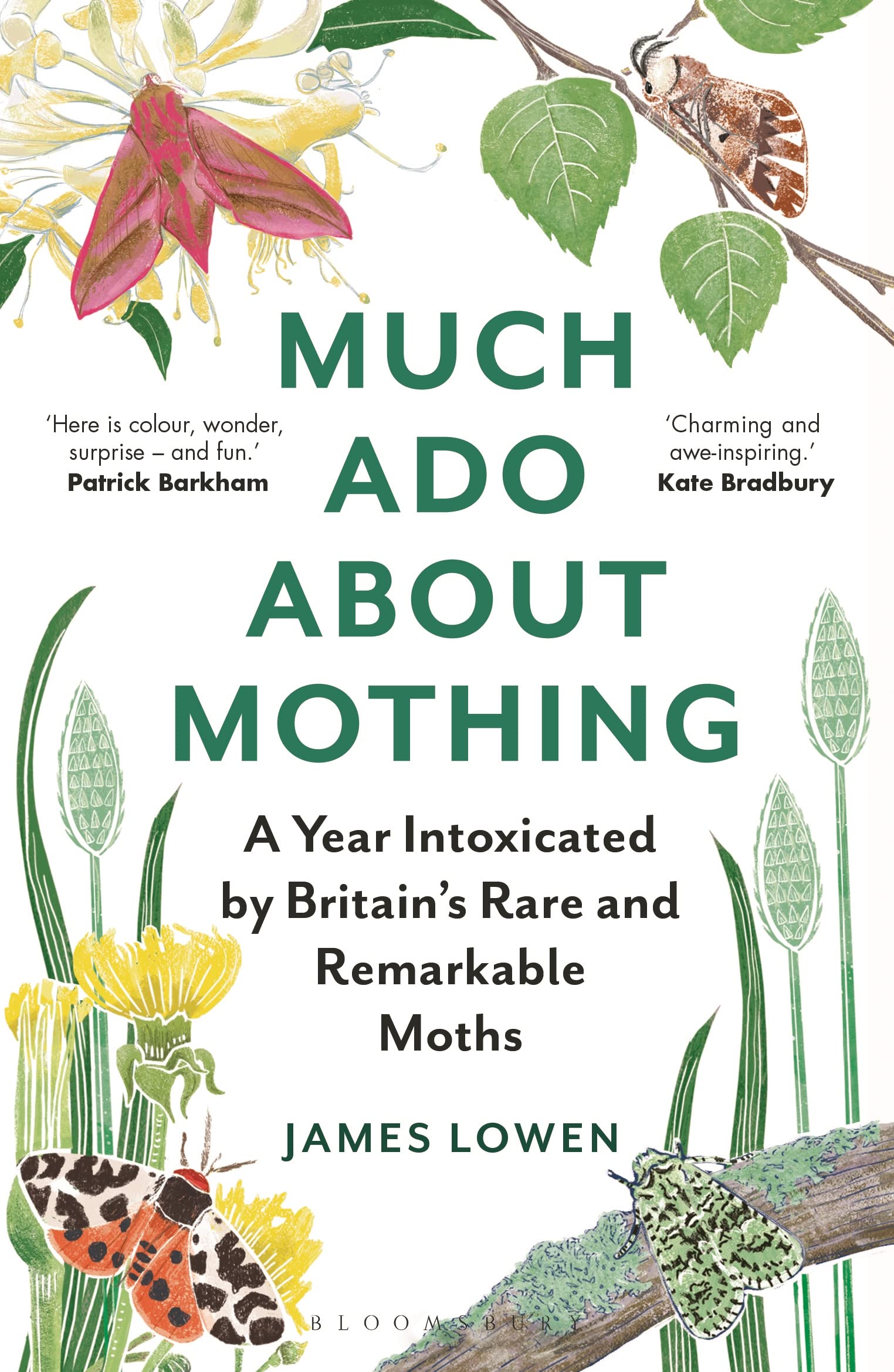 Much Ado About Mothing by James Lowen (Paperback Book)