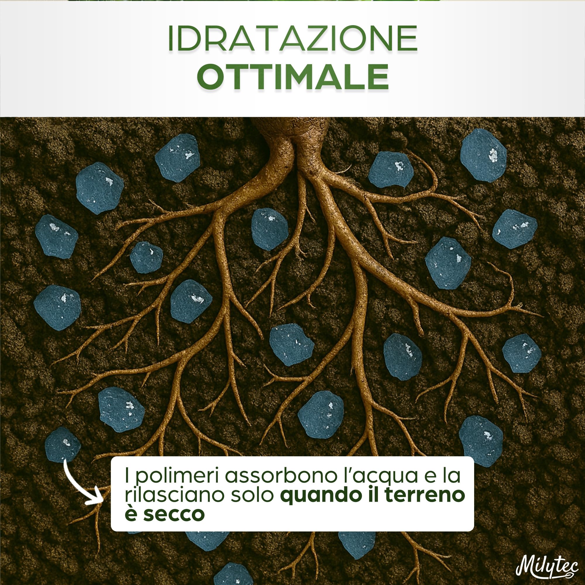 MILYTEC® Acqua Gel per Piante 1kg - per Riserva Acqua Terreno - Idratazione Prolungata per Vasi e Giardini Indoor e Outdoor - Assorbimento Rapido e Rilascio Graduale