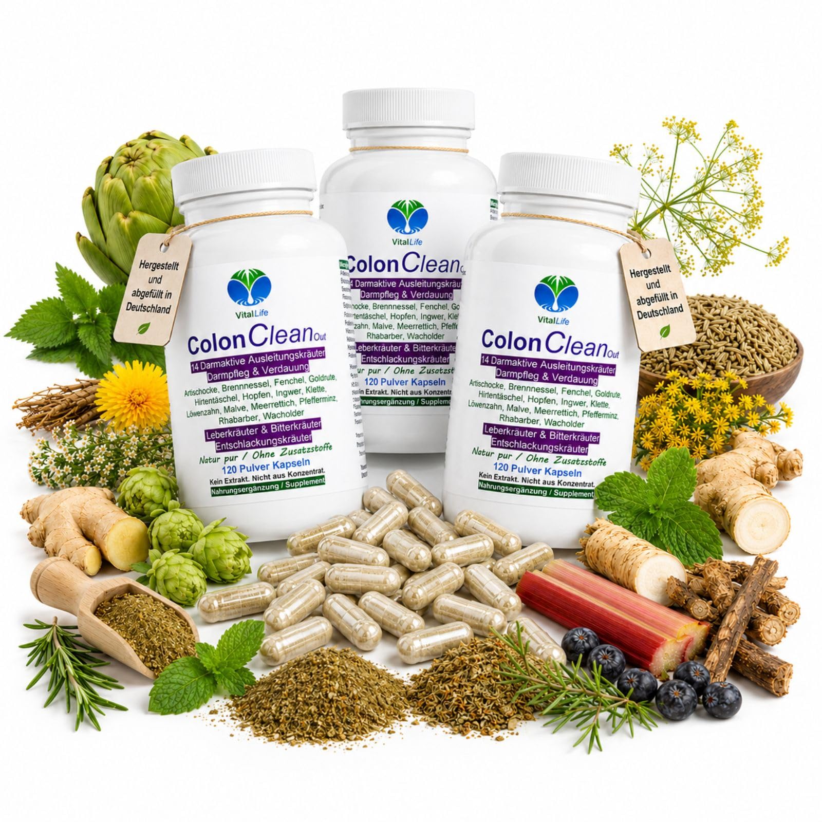 Colon CleanOut DARM AKTIV 3x120 Kapseln 14 BITTERKRÄUTER & BITTERSTOFFE für DARMROUTINE & gutes BAUCHGEFÜHL mit Artischocke Löwenzahn Brennnessel Fenchel Ingwer. Natur pur. OHNE ZUSATZSTOFFE. 26540-3