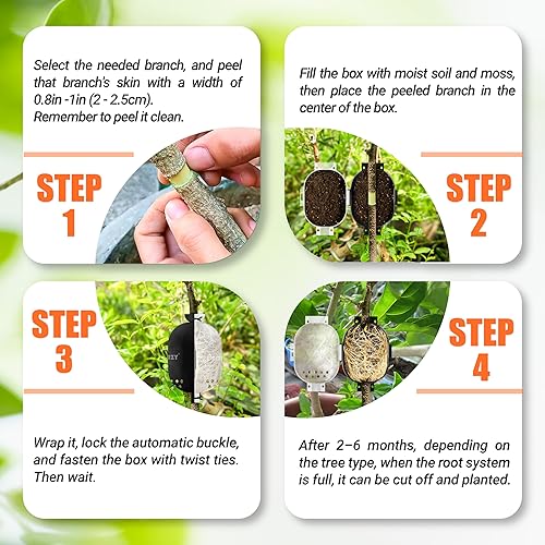 Miniatura 6 de Actualizado 9 cajas de cultivo de raíces de árbol con agujeros de drenaje, bola de propagación de raíces de plantas mitad transparente y lazos