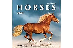 2024 Horses Hangable Wall Calendar