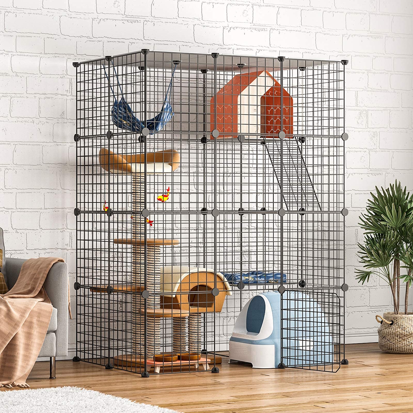 https://m.media-amazon.com/images/I/81Qh0oNawvS.jpg