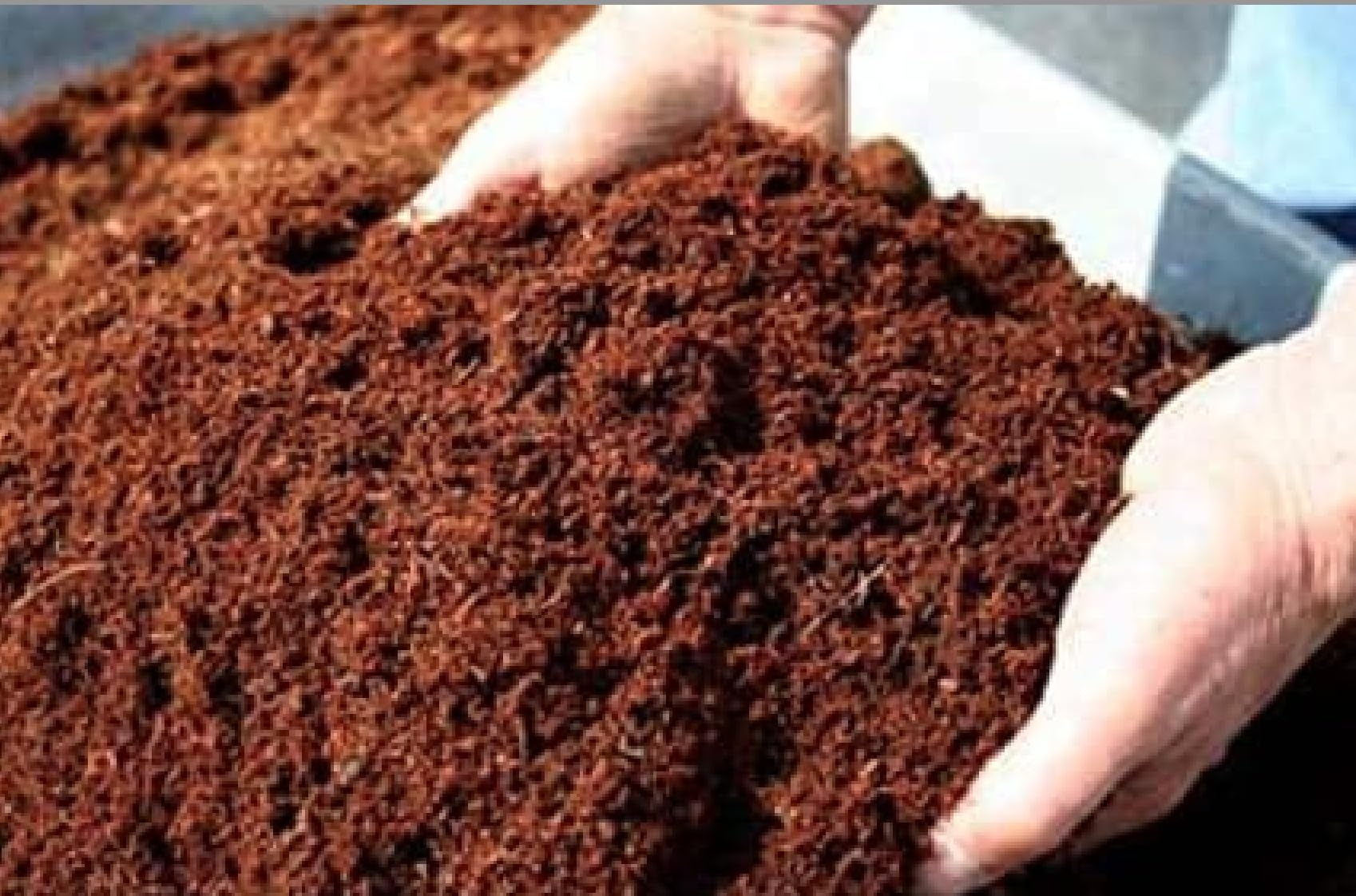 Torba di Cocco (Midollo 70% Fibra 30%), Sacco da 520 Litri, Naturale al 100%, per Agricoltura Biologica (520Lt 4 sacchi)