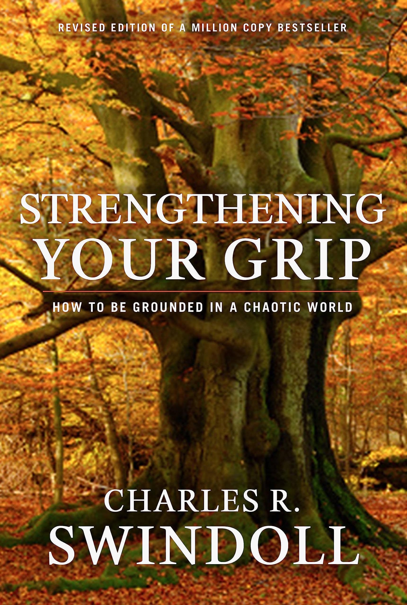Strengthening Your Grip: How to be Grounded in a Chaotic World