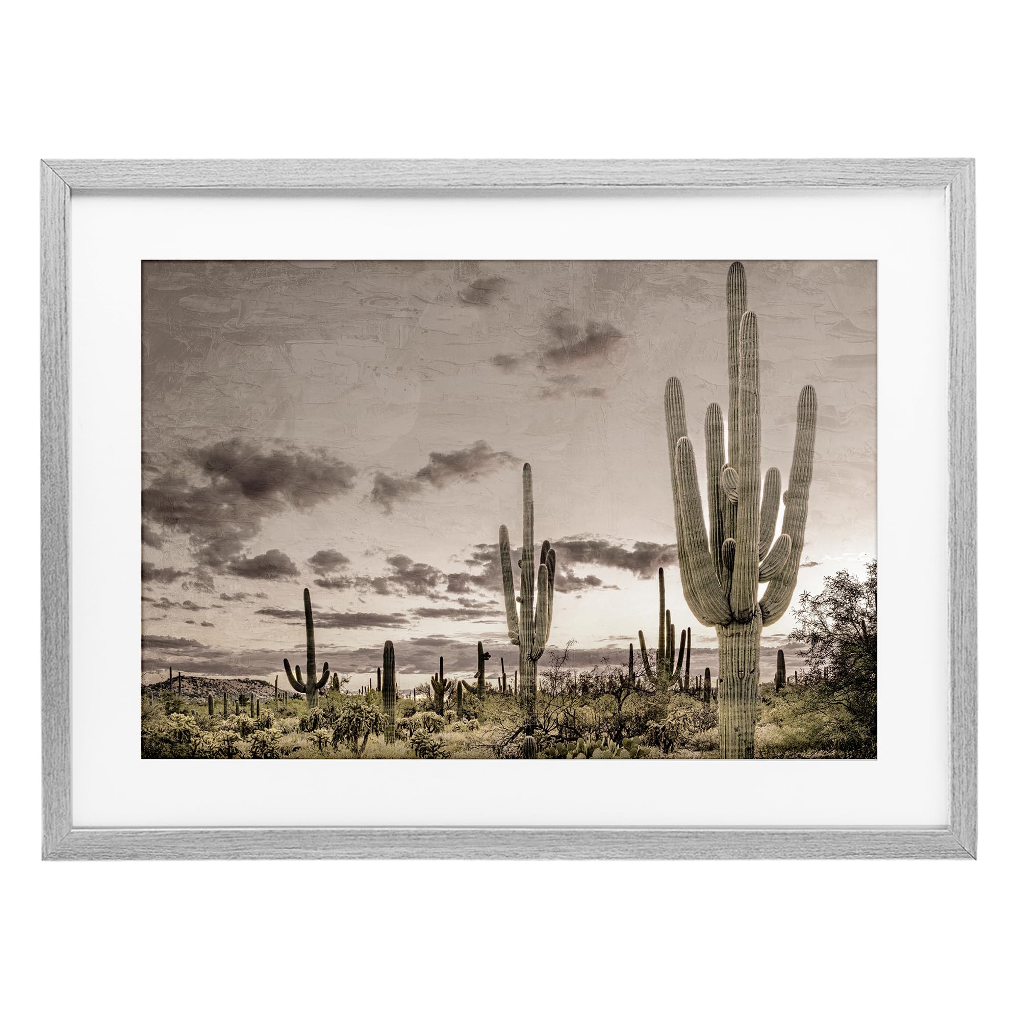 Stupell Industries Farmhouse Gray (Textured) Desert Sky Wilderness Cactus, 17 X 23 Inch Framed Print Under Glass