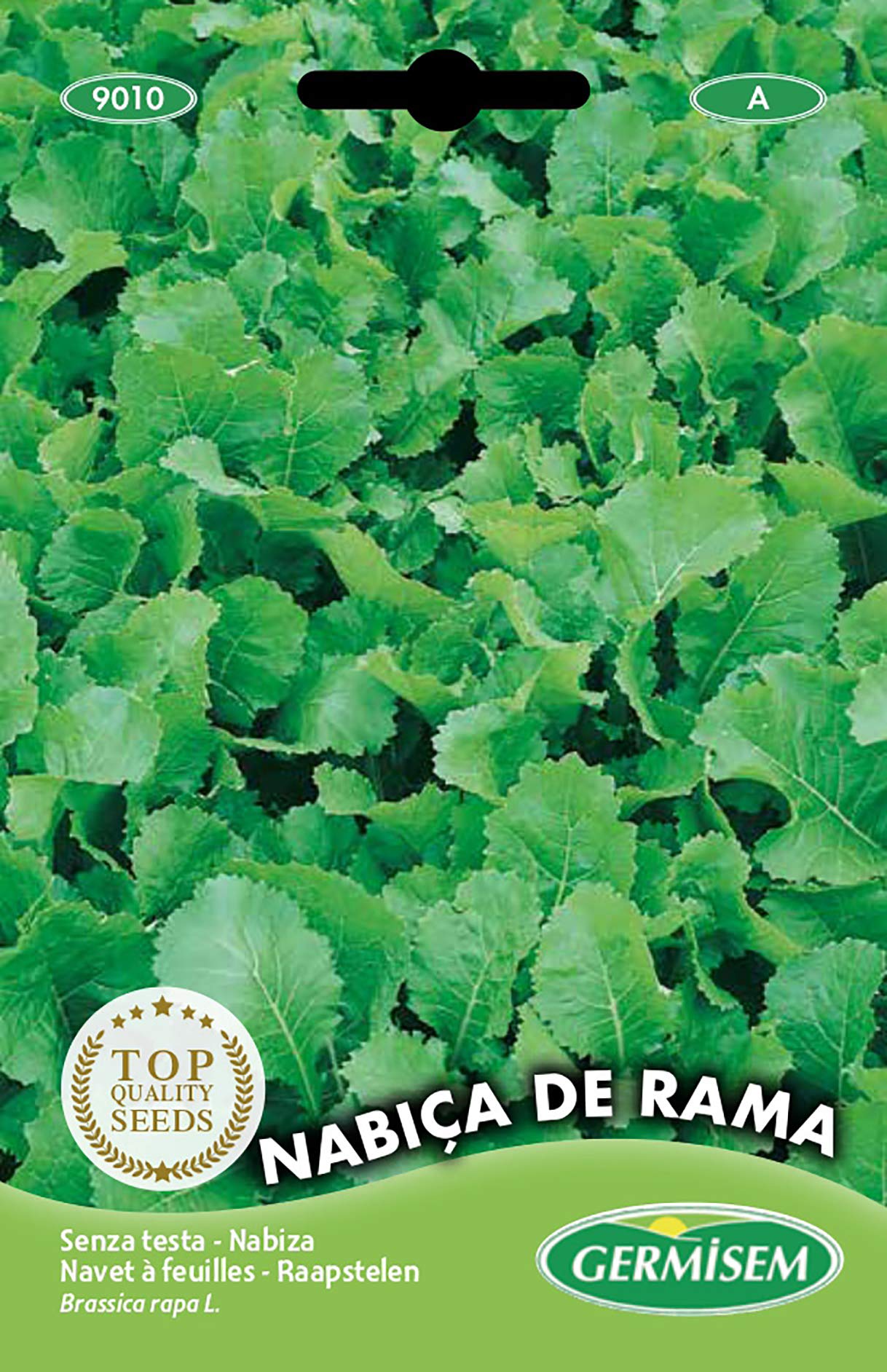 Germisem Senza Testa Turnip Green Seeds 20 g EC9010 Multicolour