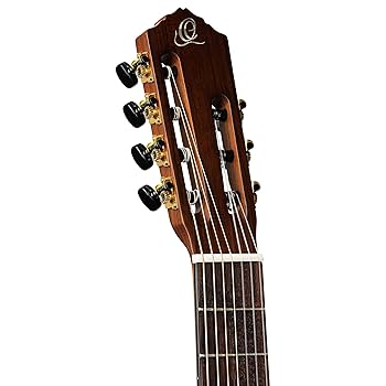 Amazon.com: Ortega Guitars Family Series Pro 7-String Solid