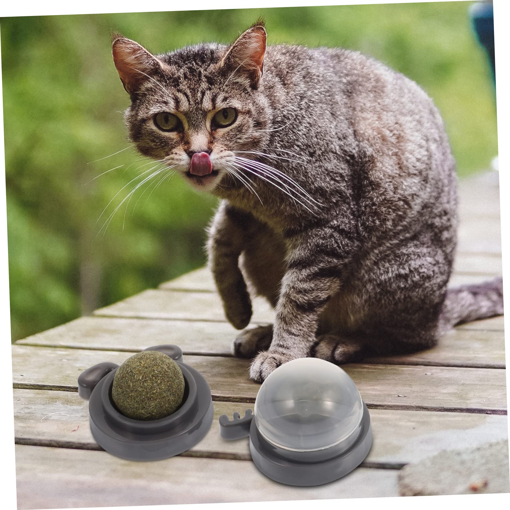 Happyyami 9stücke Katzenminze Ball Mit Tierkopf-Design Multifunktionales Spielzeug Zur Zahnpflege Und Verdauungsförderung Für Katzen Sicher Chemische Zusätze