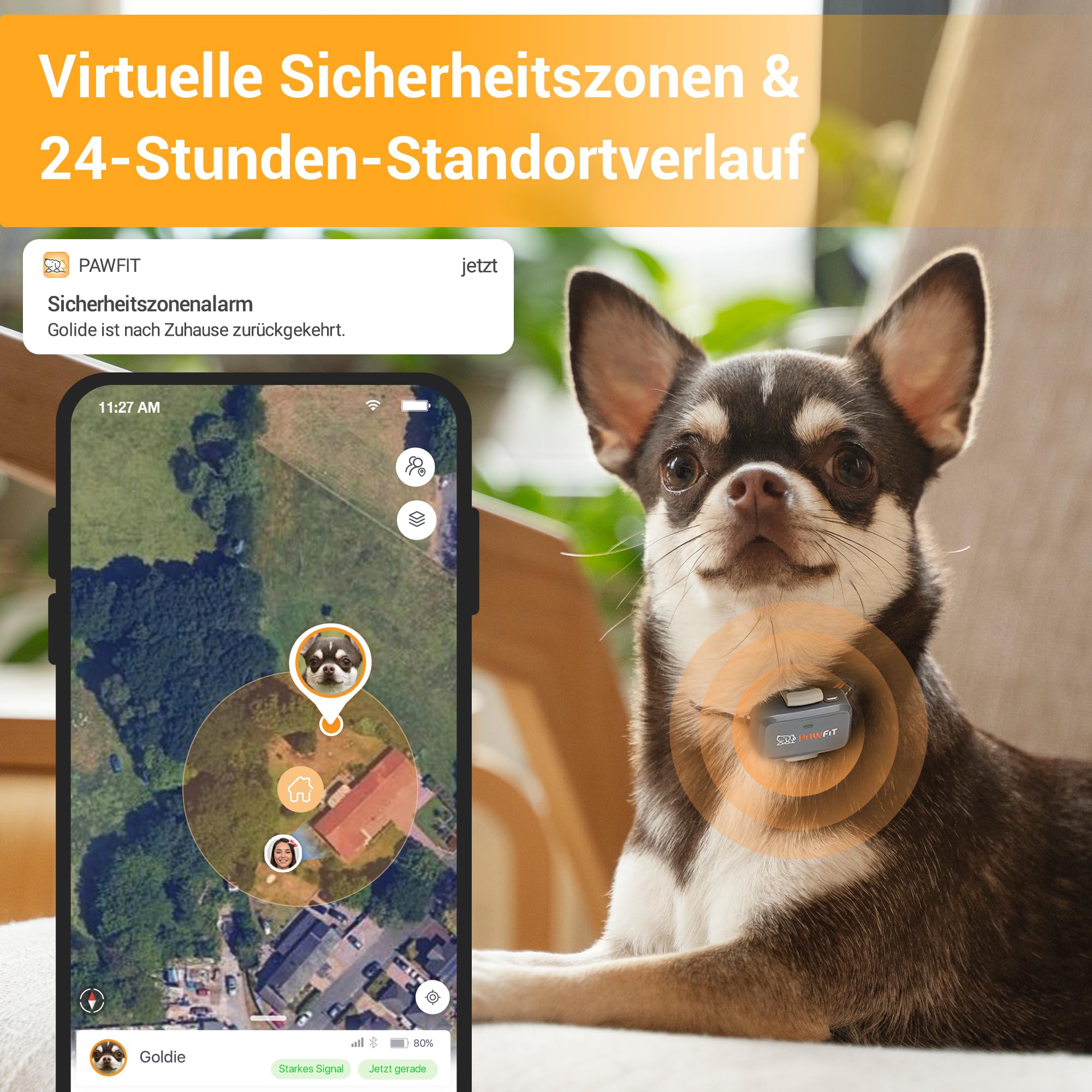 Pawfit Lite für Hunde 4G GPS Tracker | Echtzeit-Tracking | Aktivitätsüberwachung | Standortverlauf | Unbegrenzte Reichweite | Sicherheitshalsband inklusive | Kohlegrau