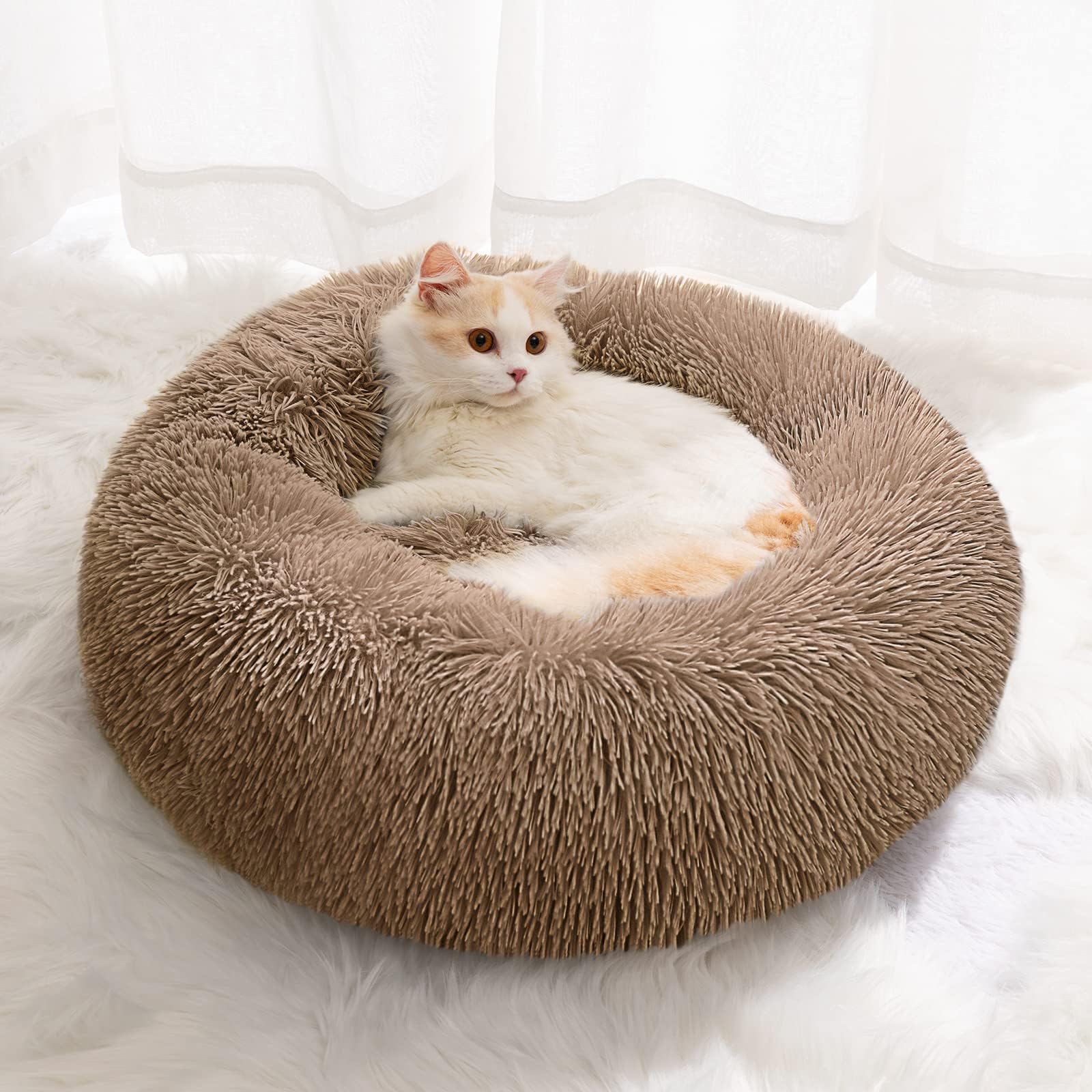 Small Cat Bed for Indoor Cats, Self-Warming Donut Kitty Bed for Small Cats Keeping Warm, Washable Pet bed with Anti Slip Base, Lightcoffee 40cm